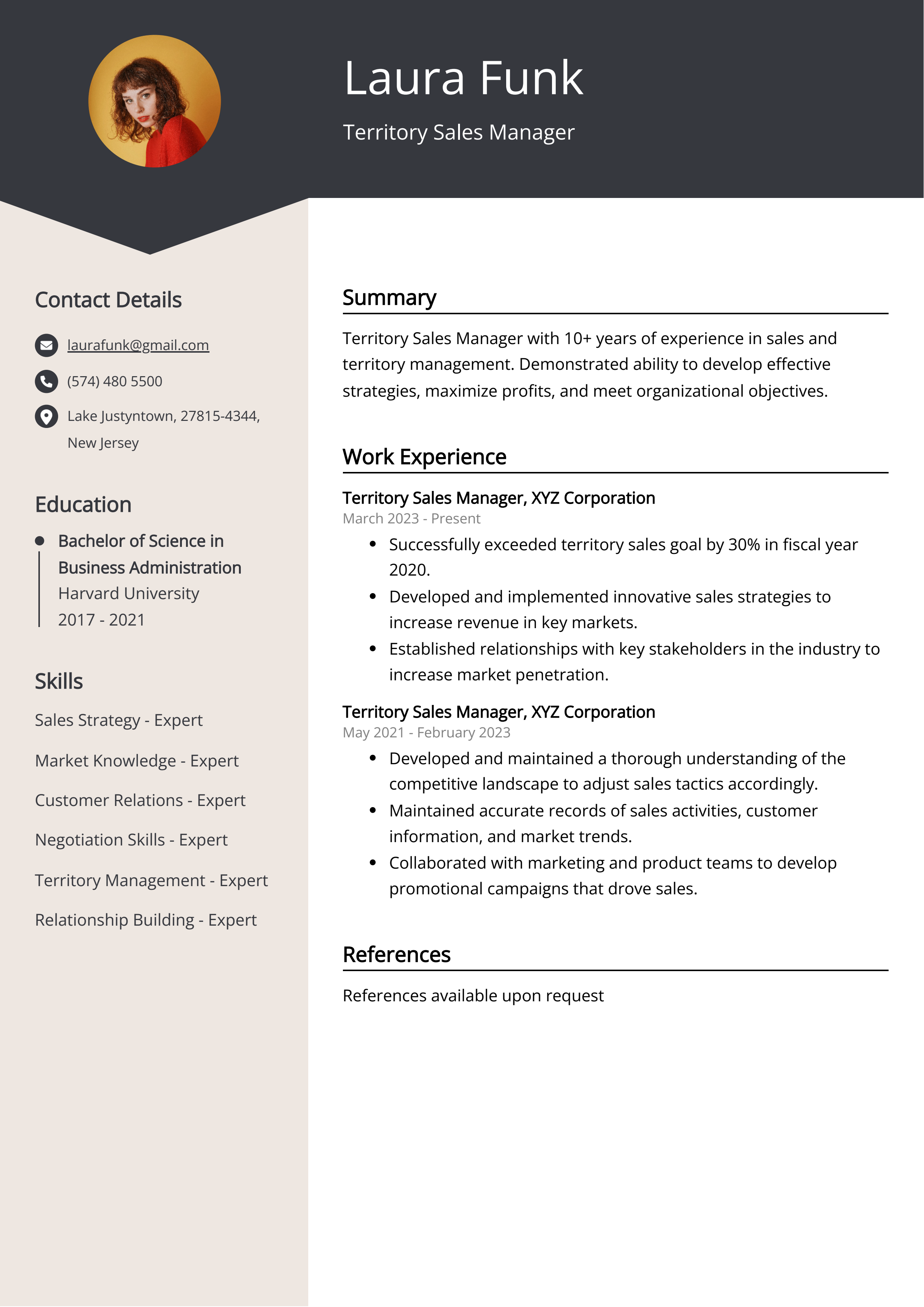 Territory Sales Manager CV Example