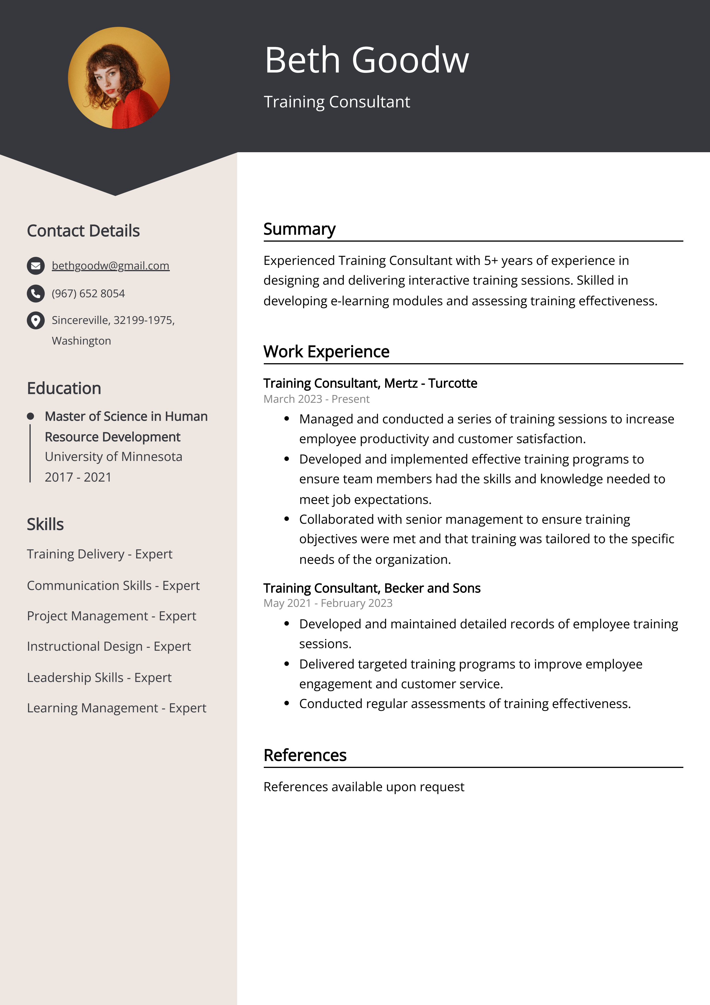 Training Consultant CV Example