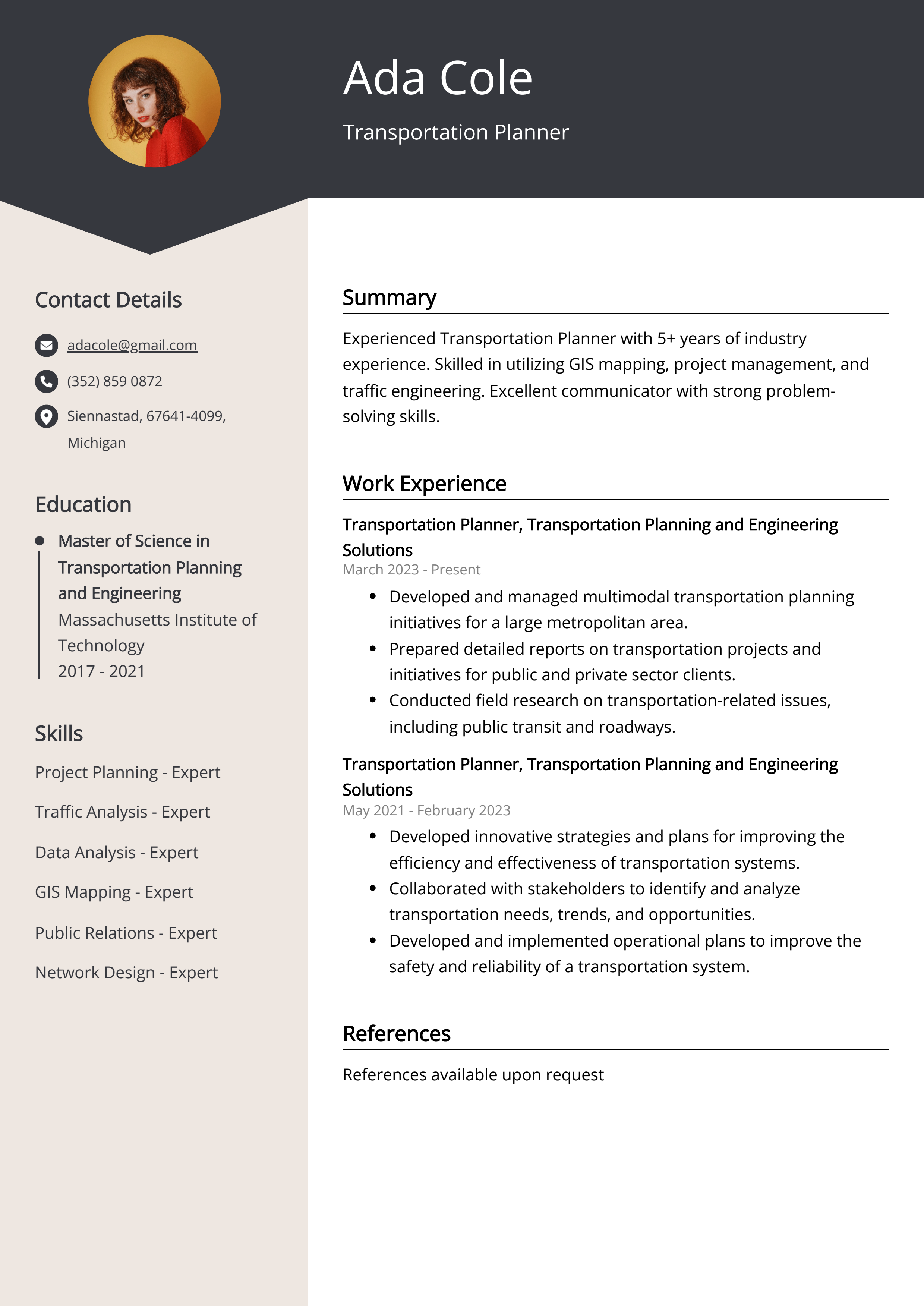 Transportation Planner CV Example