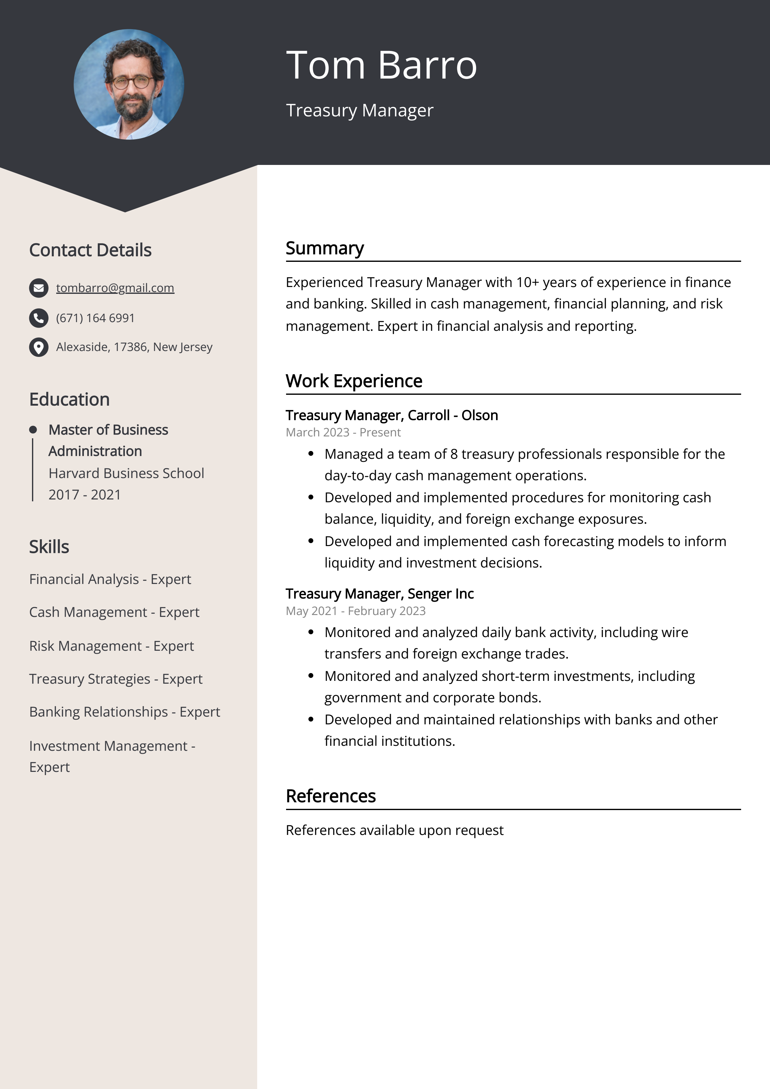 Treasury Manager CV Example