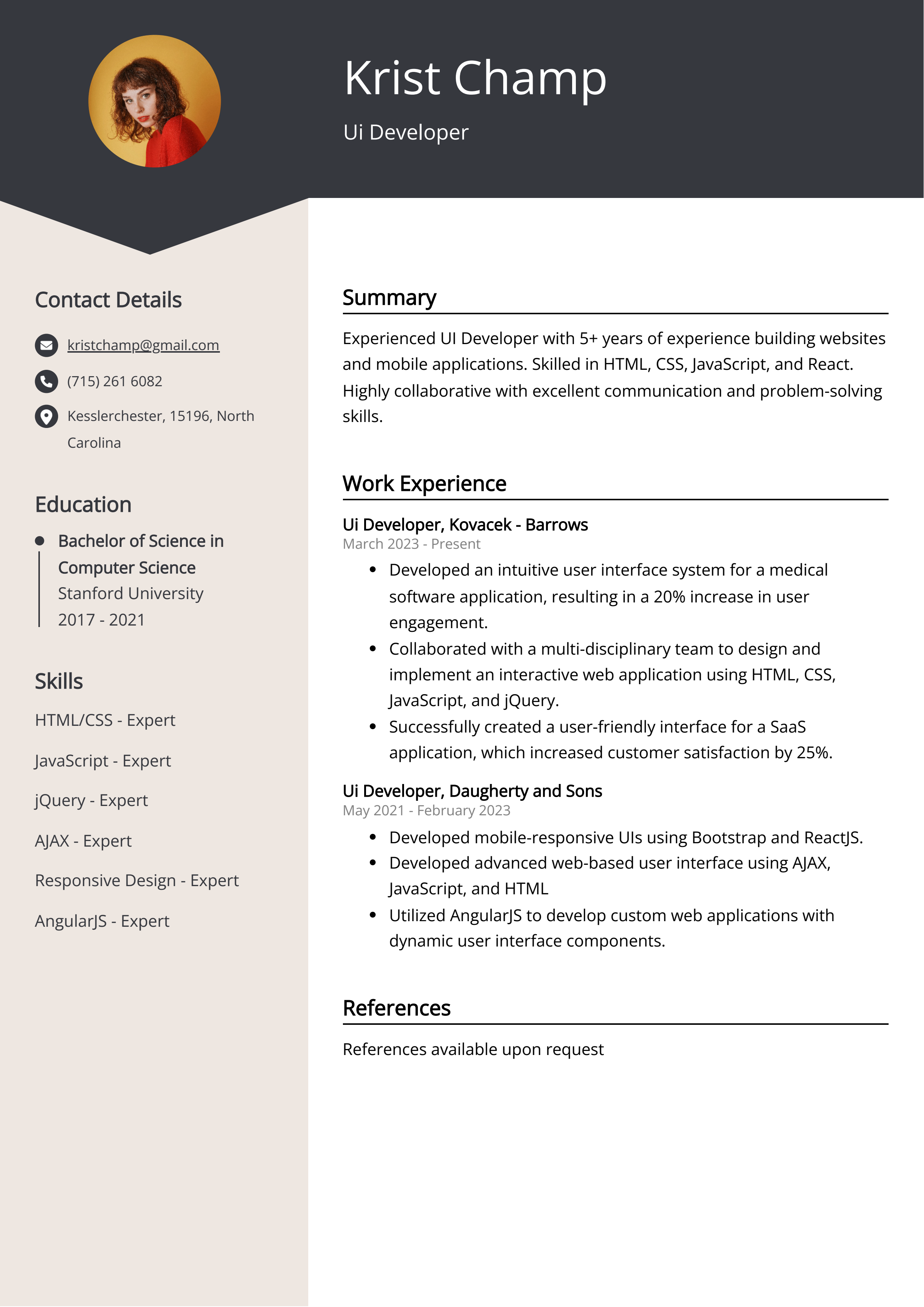 Ui Developer CV Example