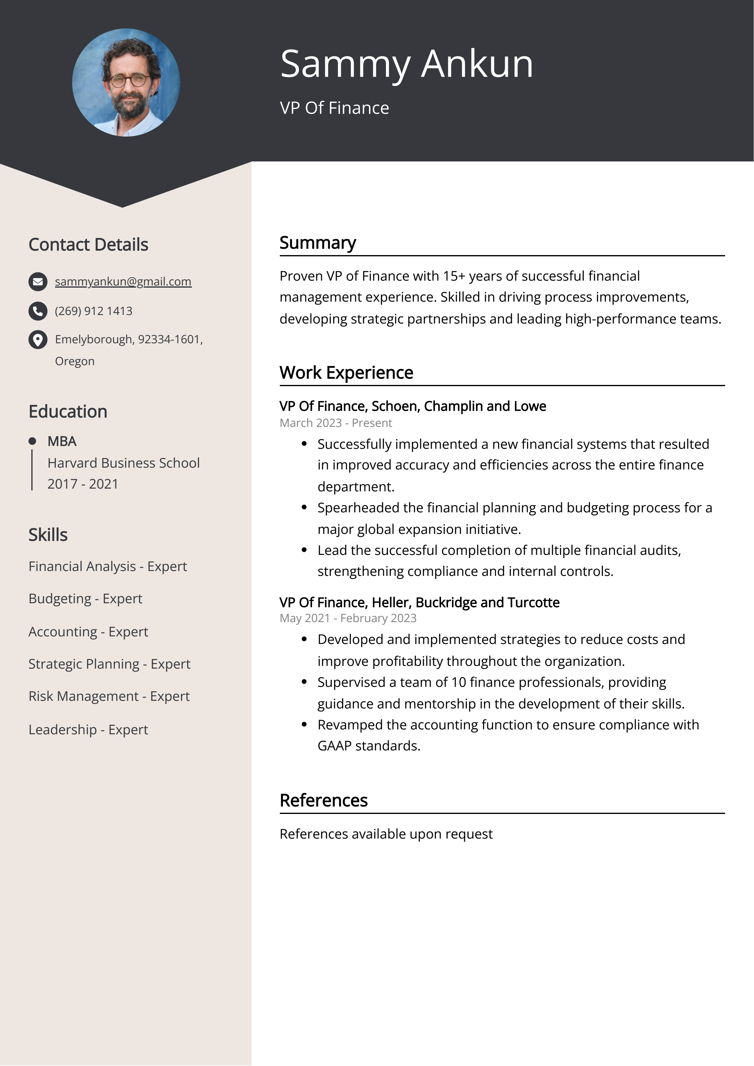 VP Of Finance CV Example