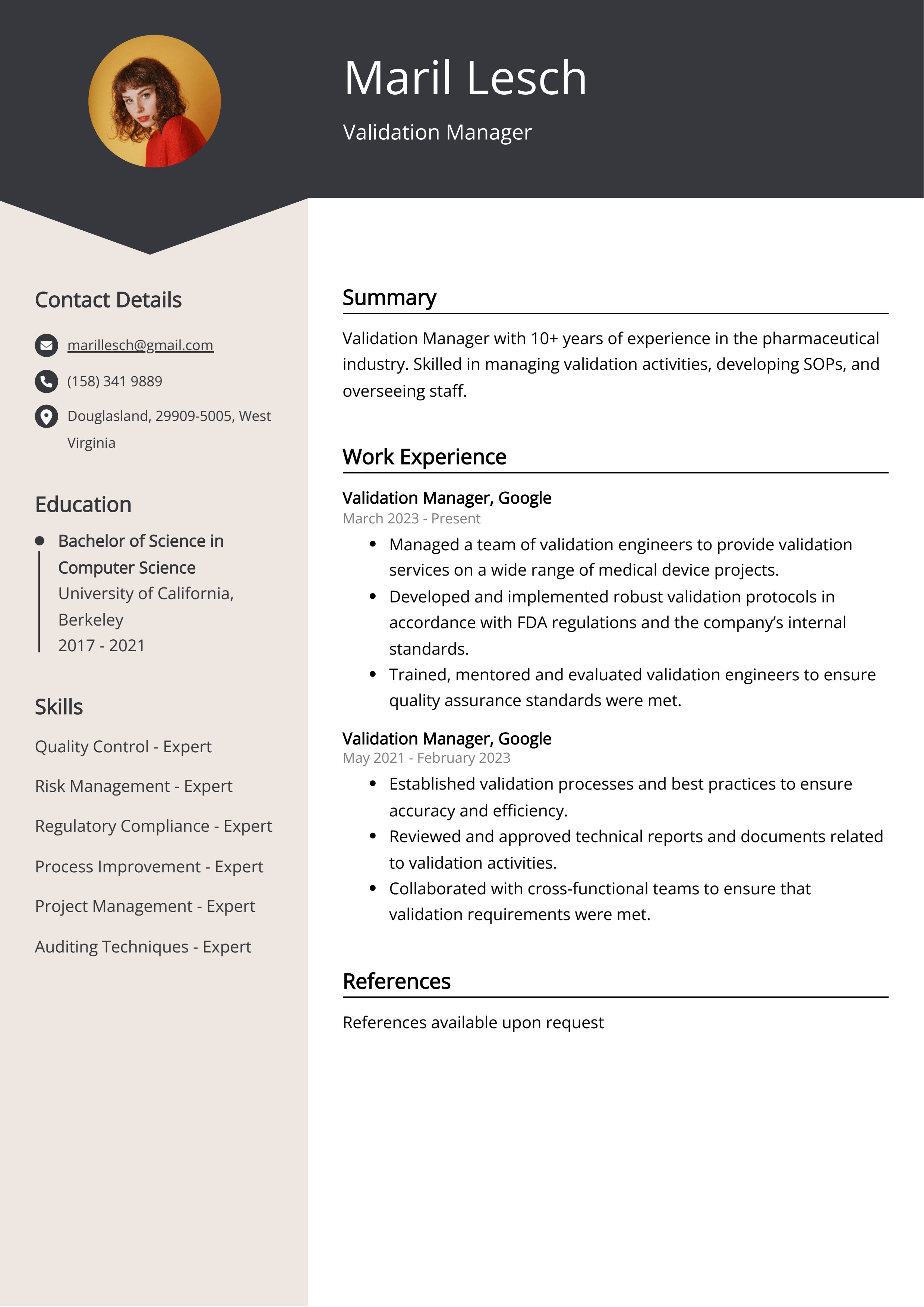 Validation Manager CV Example