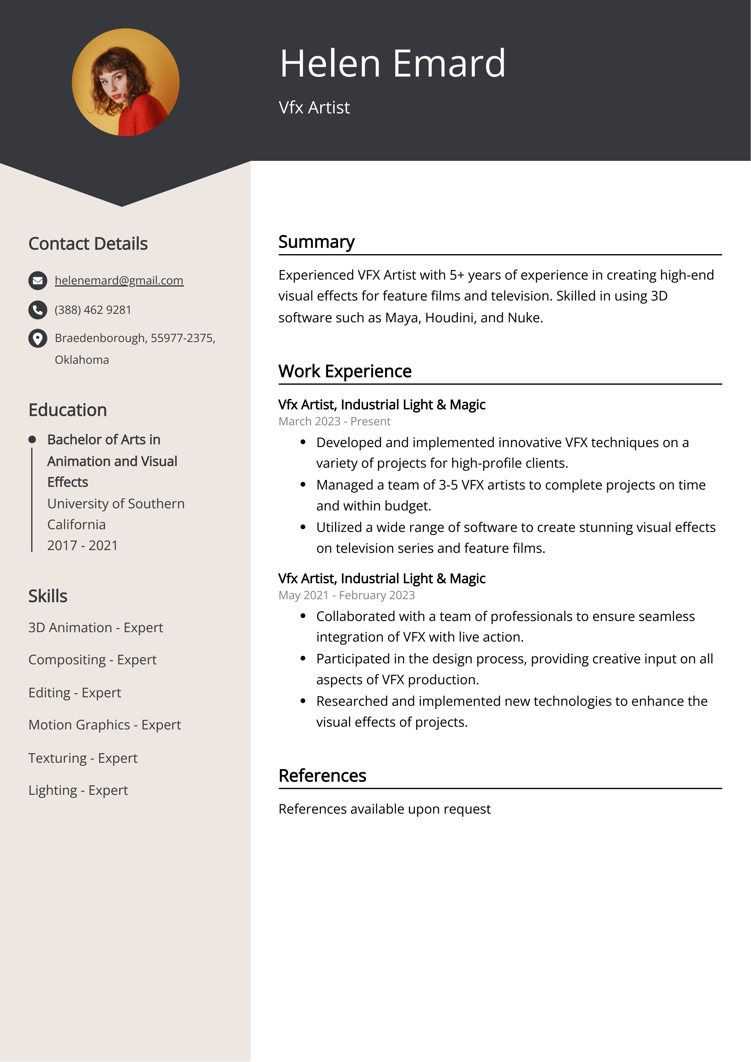 Vfx Artist CV Example