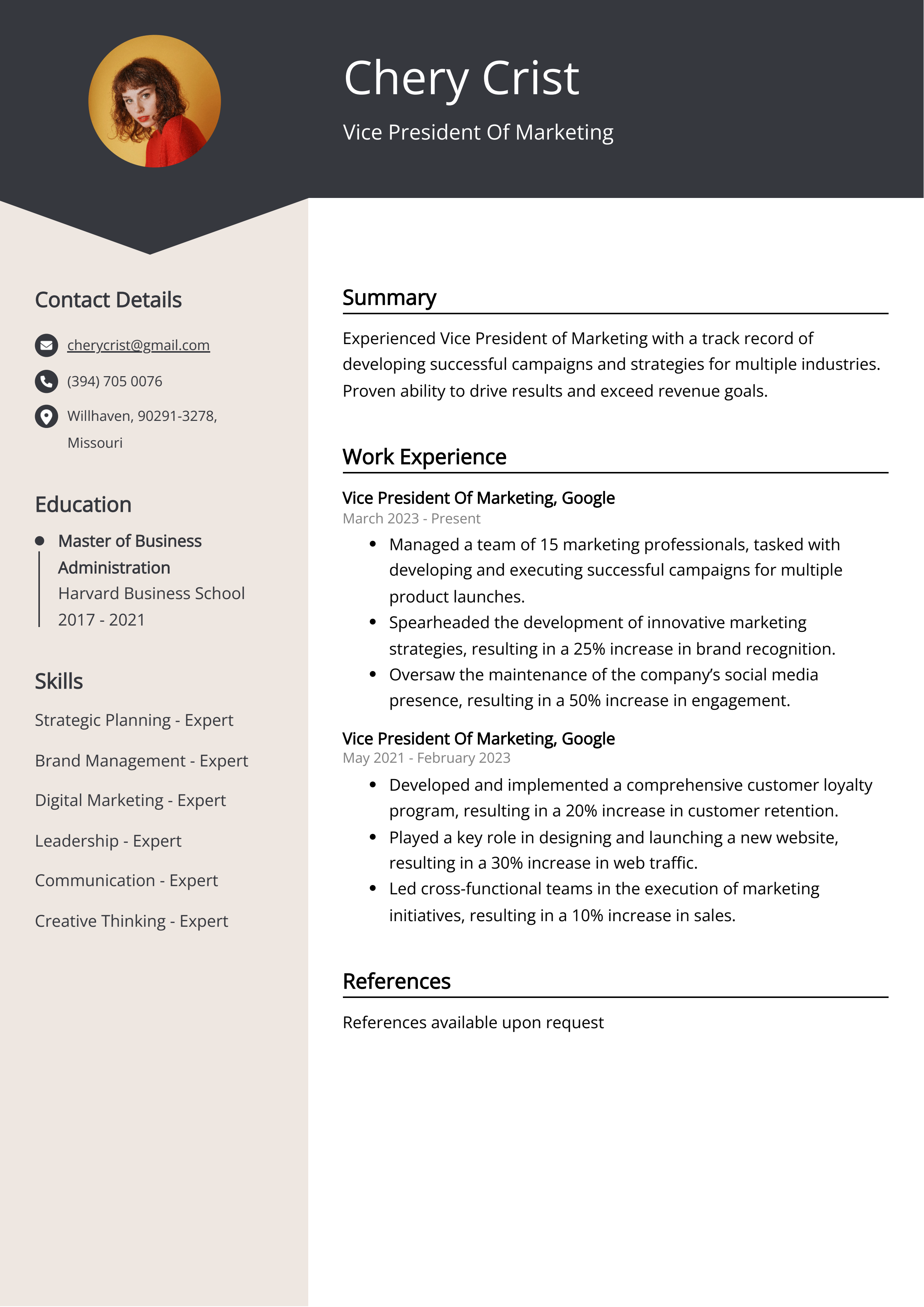 Vice President Of Marketing CV Example