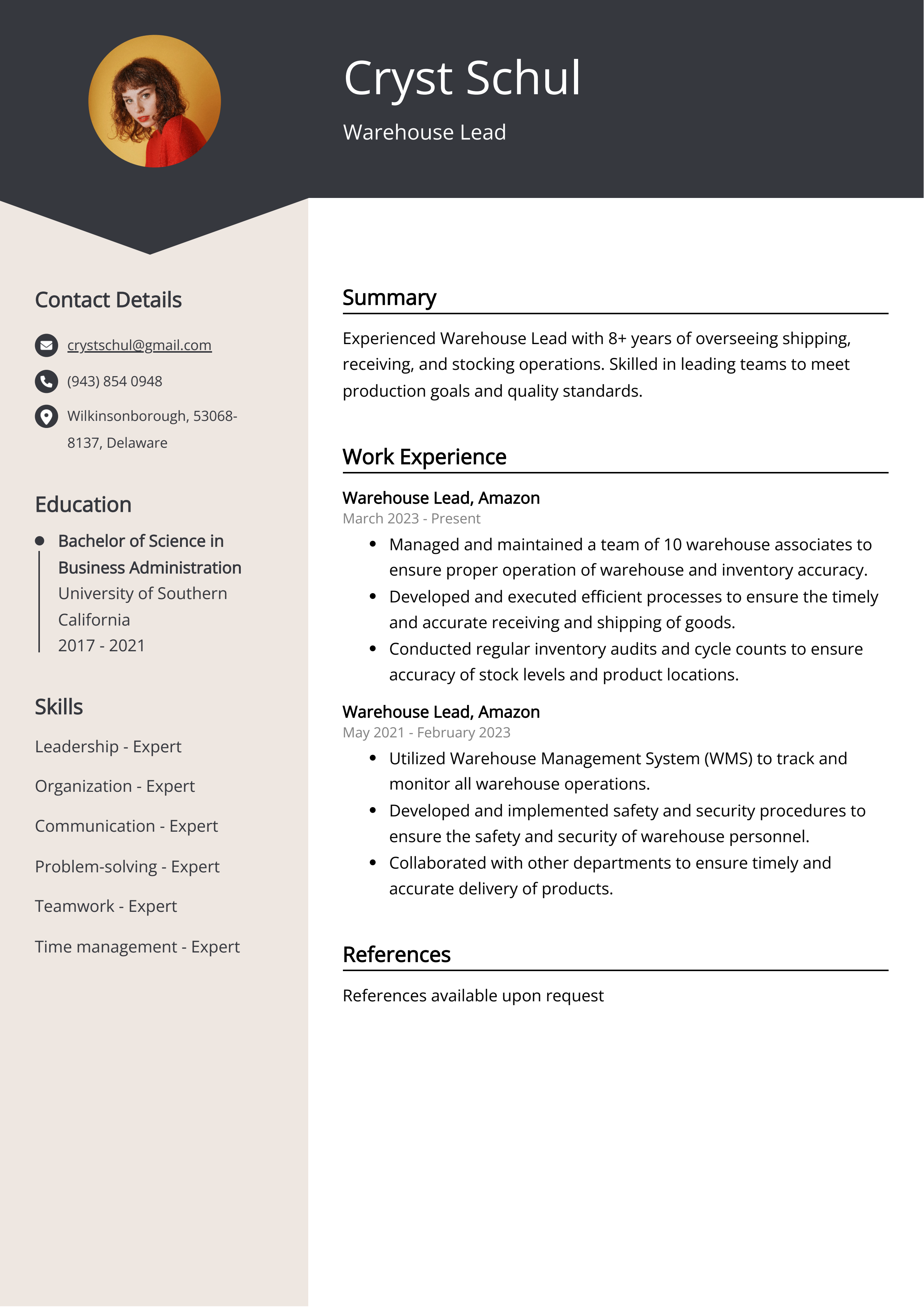 Warehouse Lead CV Example