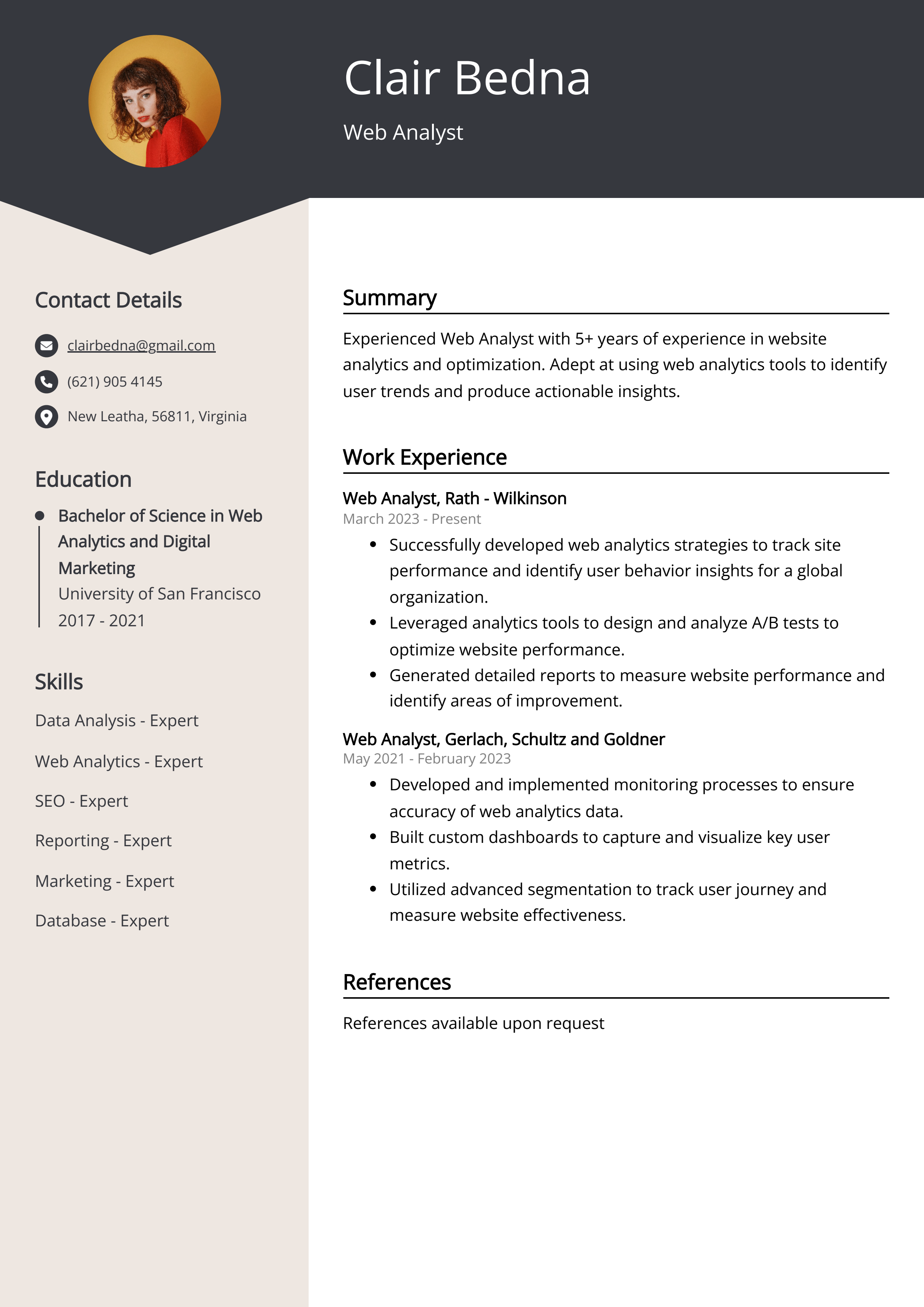 Web Analyst CV Example