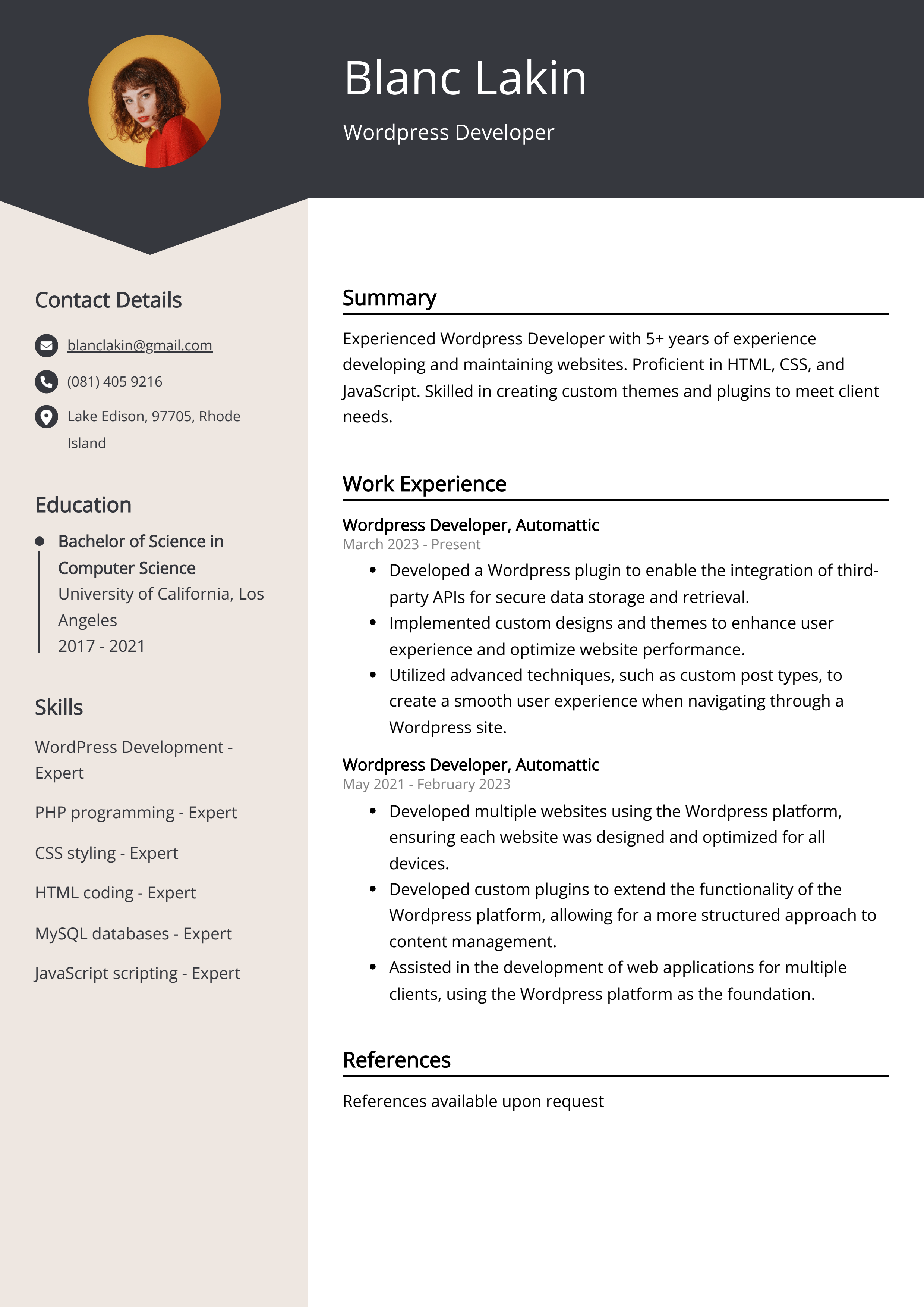 Wordpress Developer CV Example