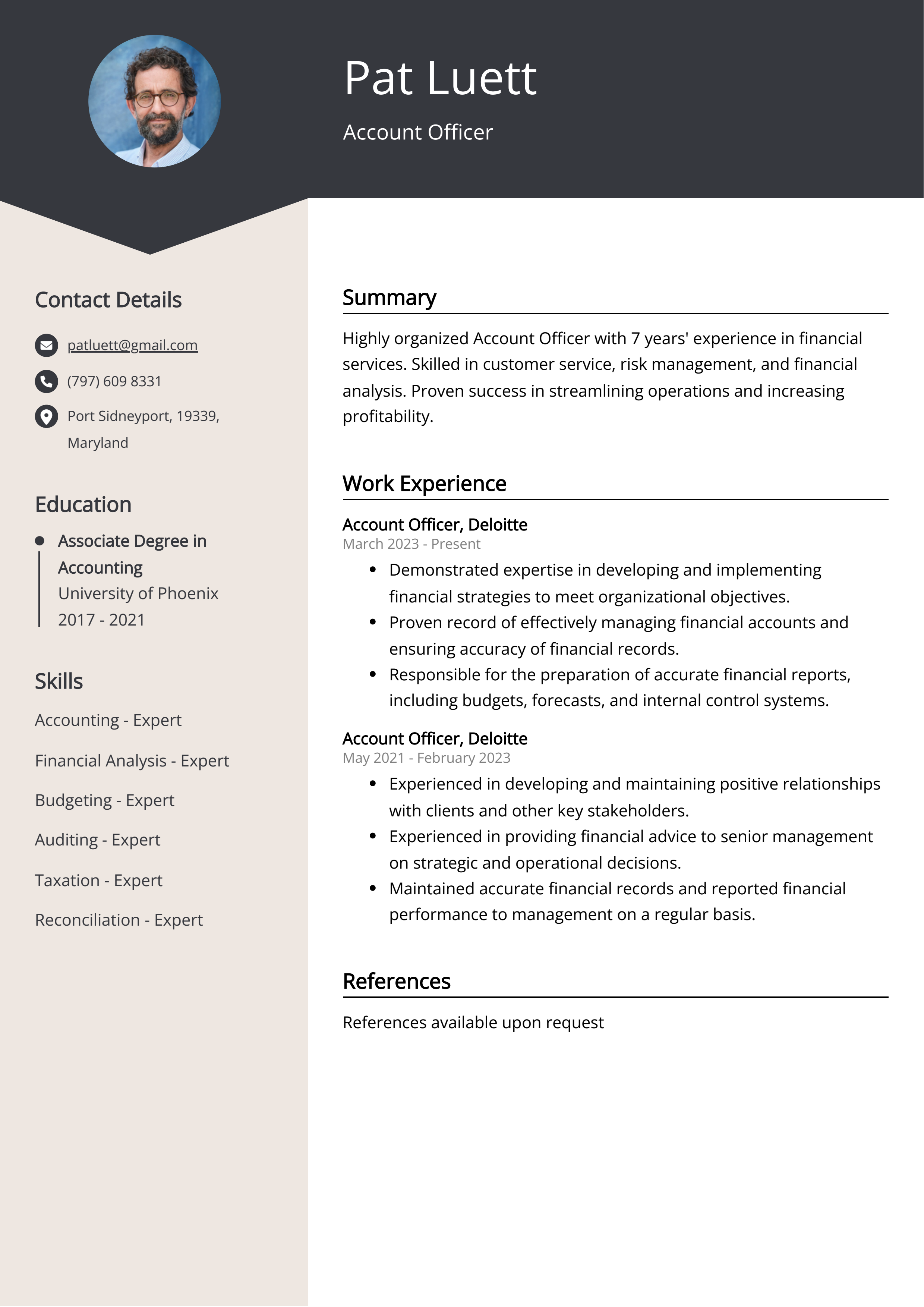 Account Officer Resume Example