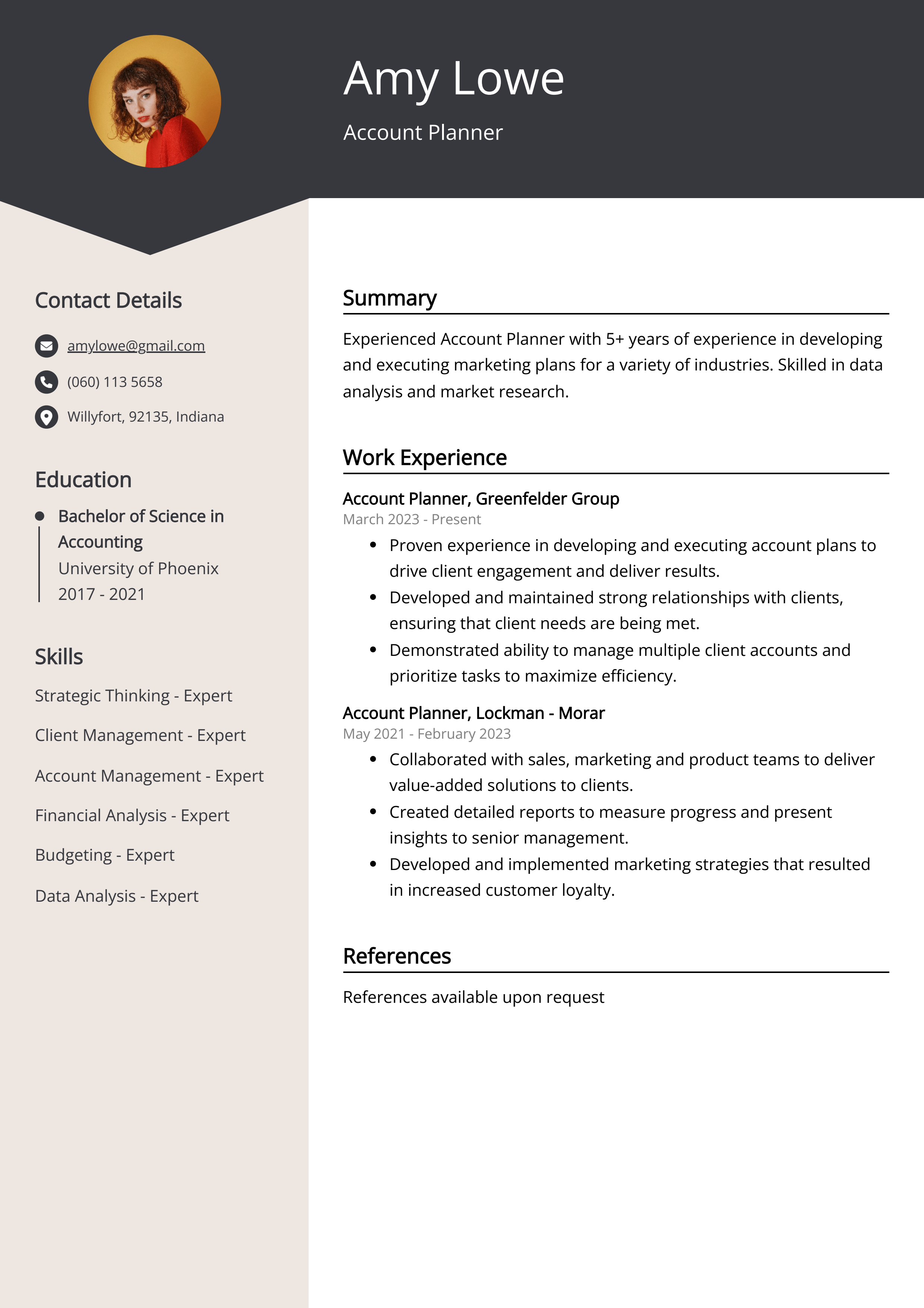 Account Planner Resume Example