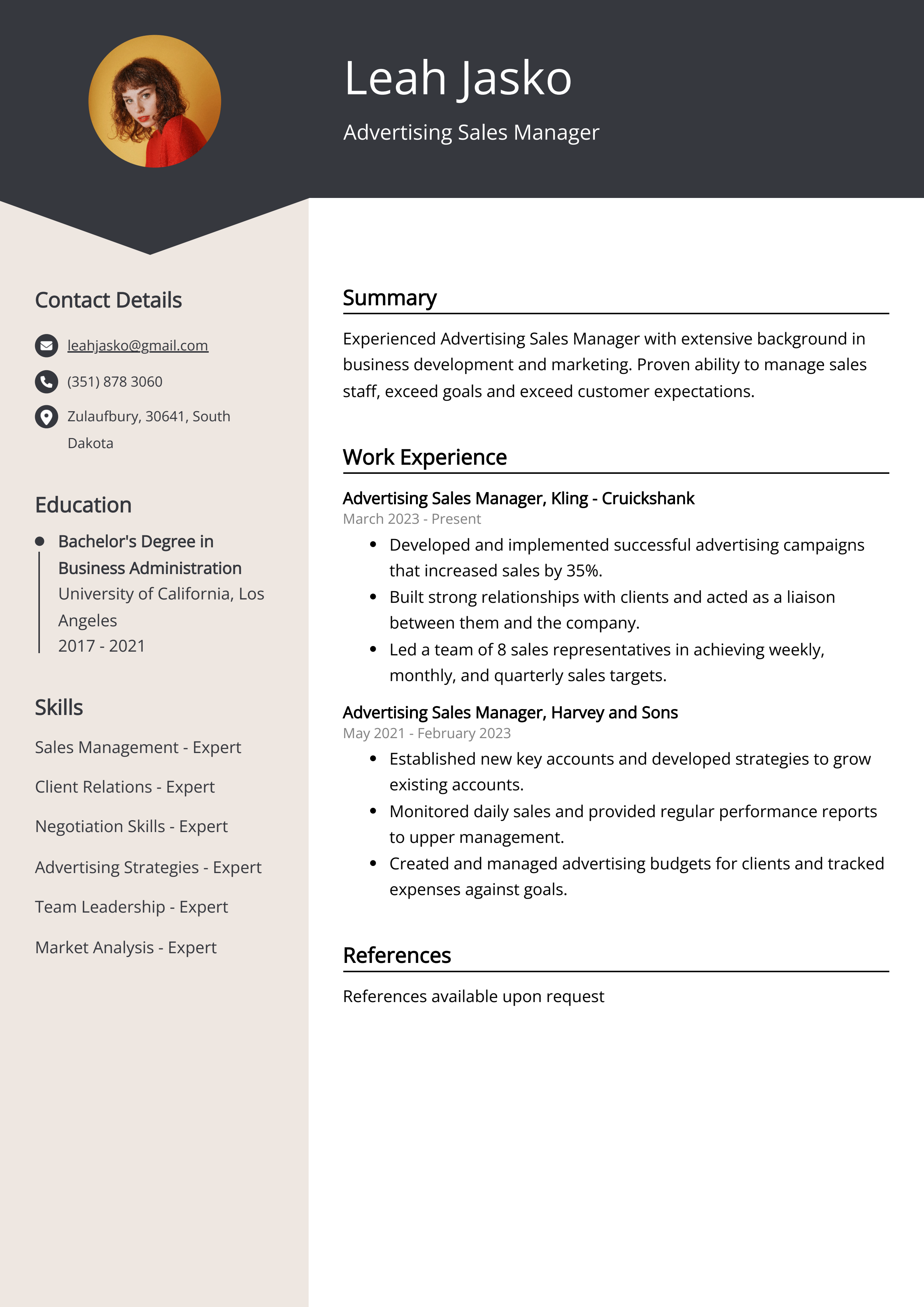 Advertising Sales Manager Resume Example