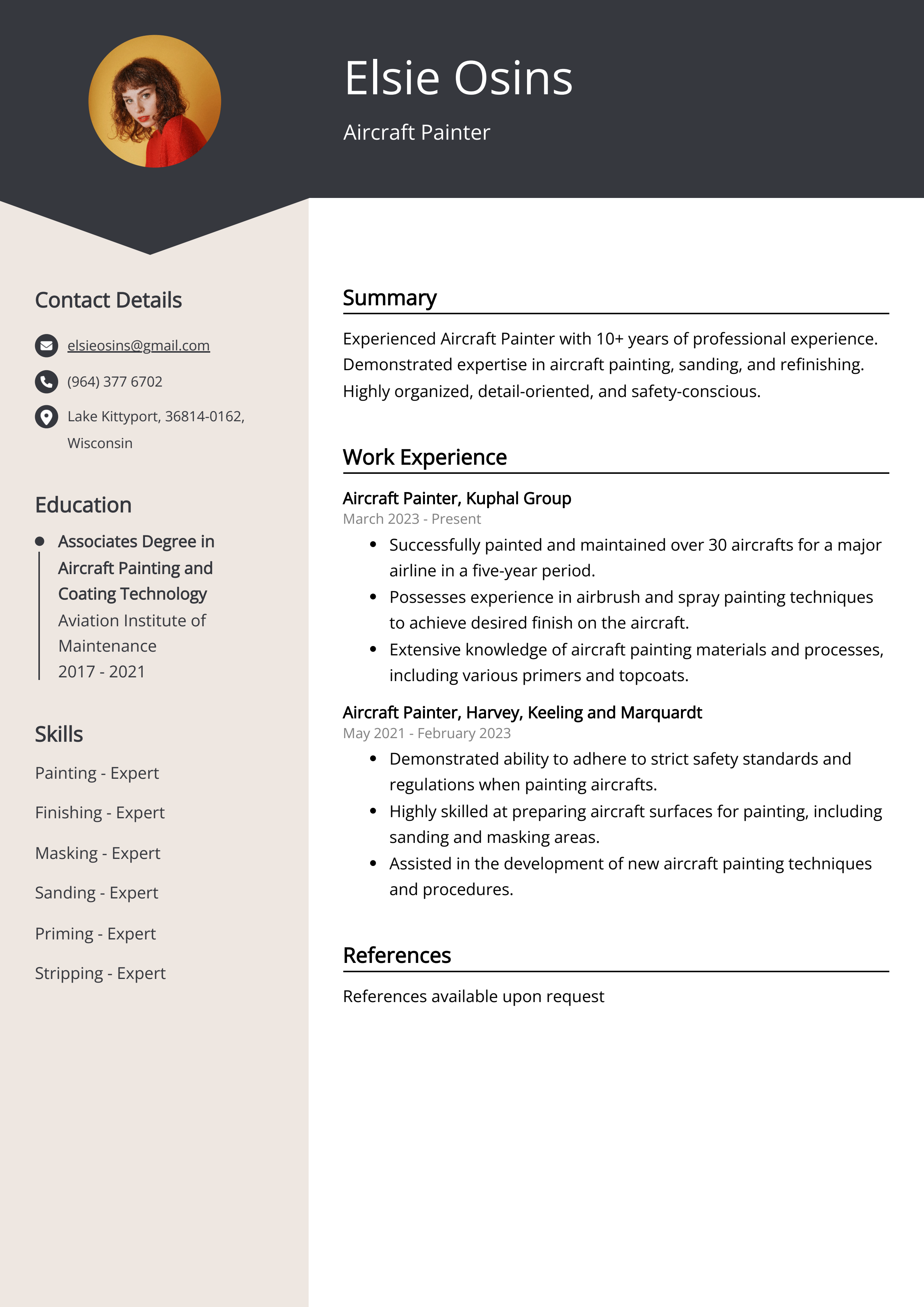 Aircraft Painter Resume Example