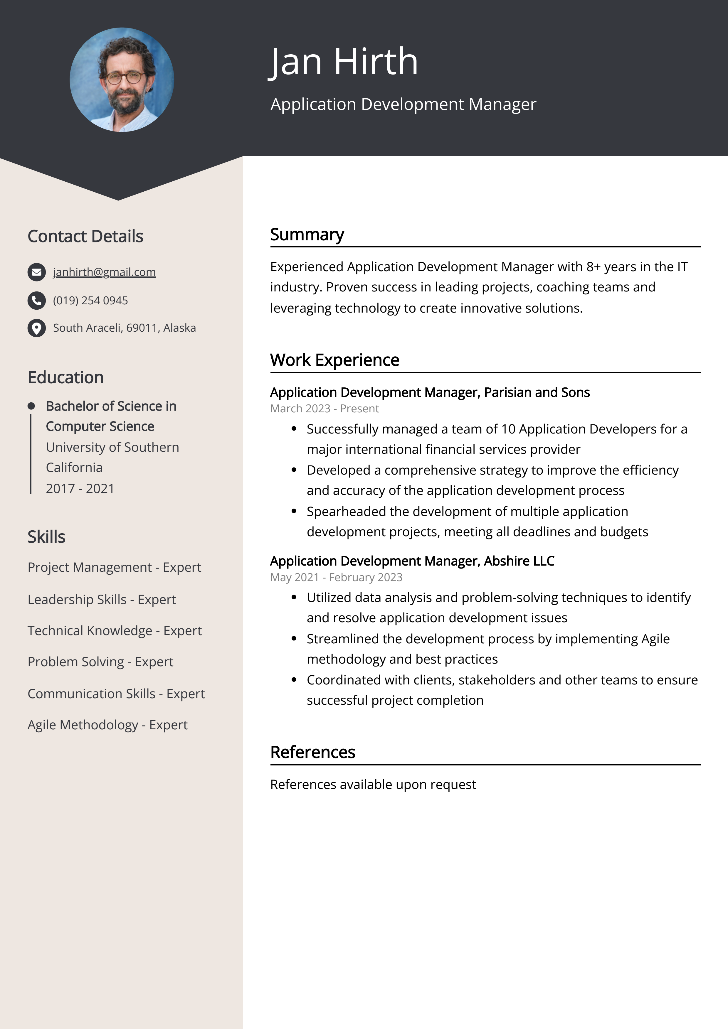 Application Development Manager Resume Example