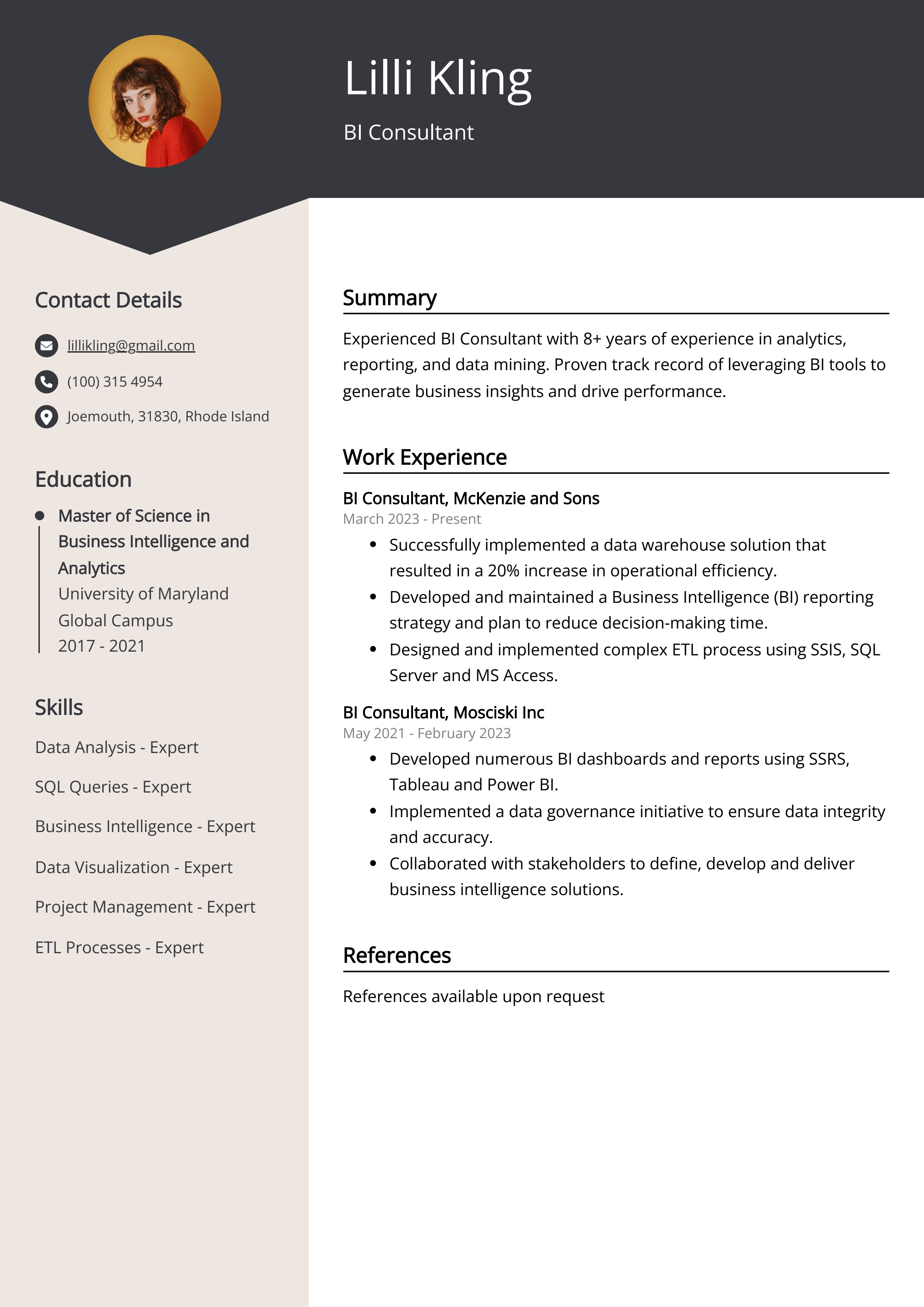 BI Consultant Resume Example