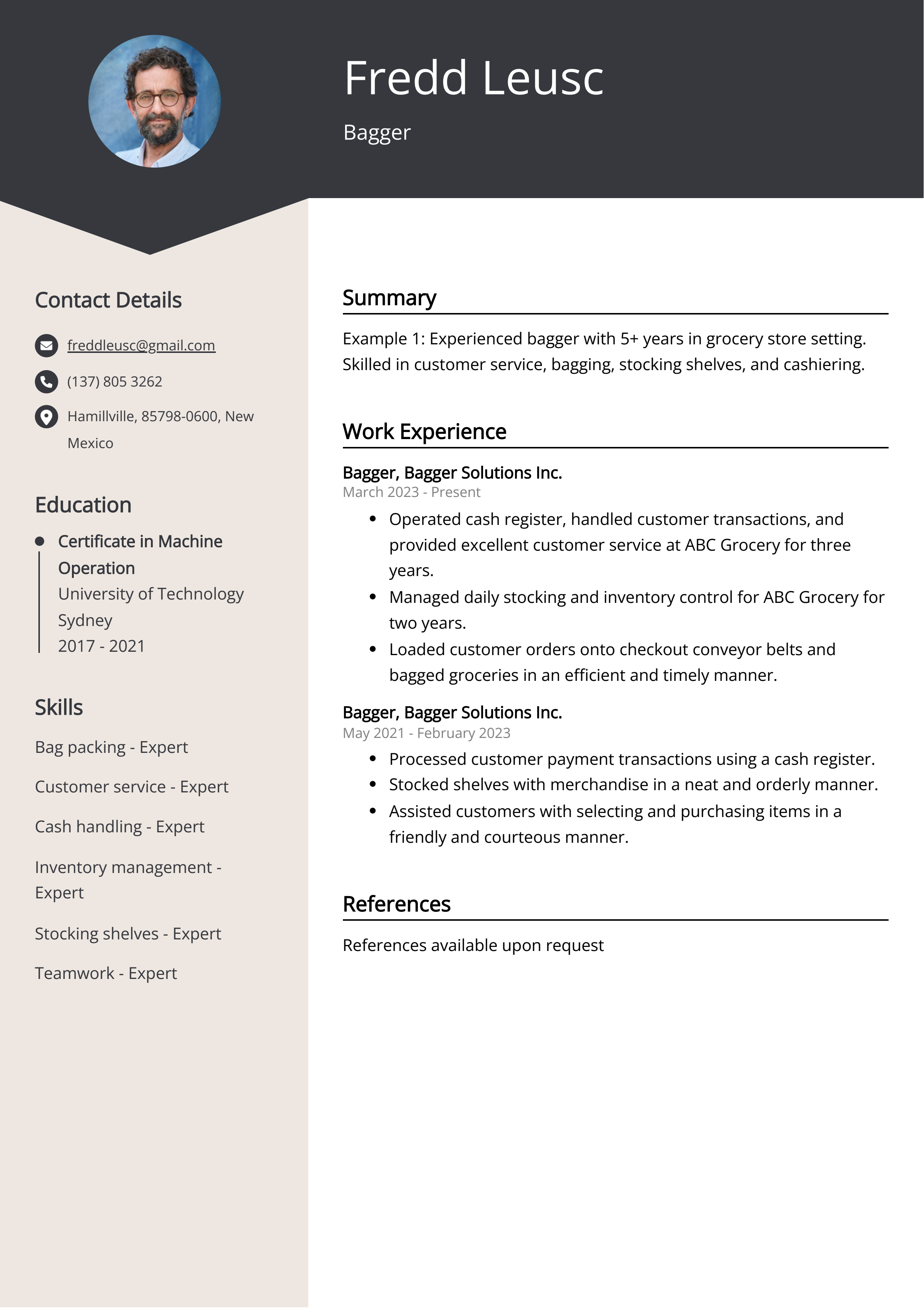 Bagger Resume Example