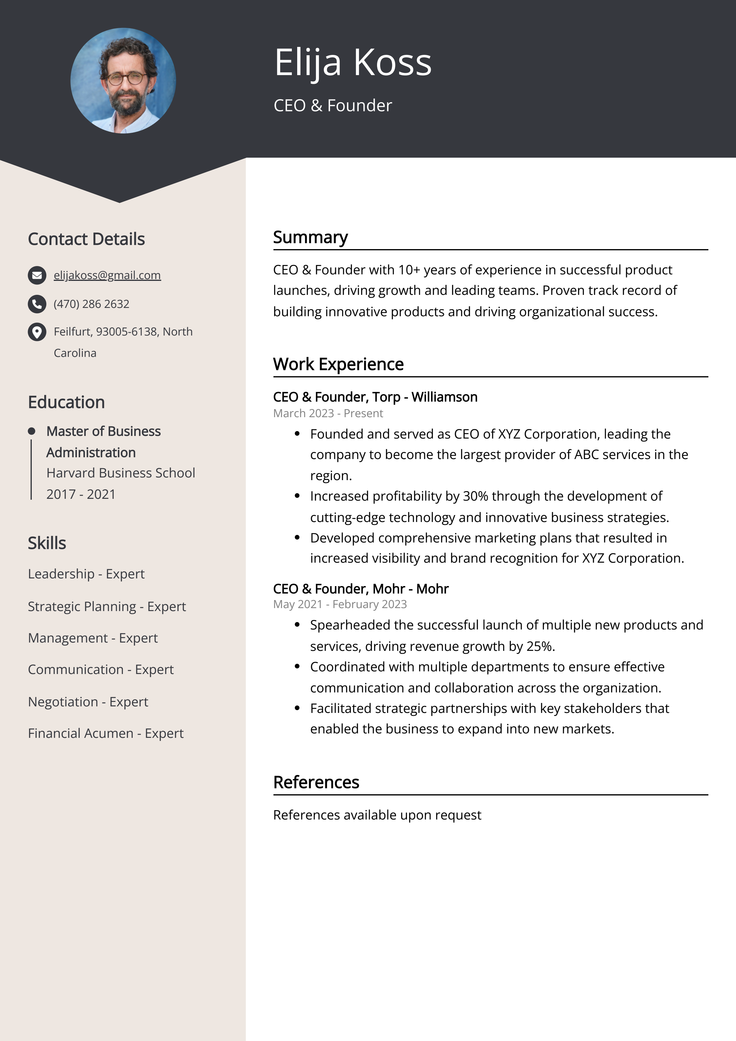 CEO and Founder Resume Example