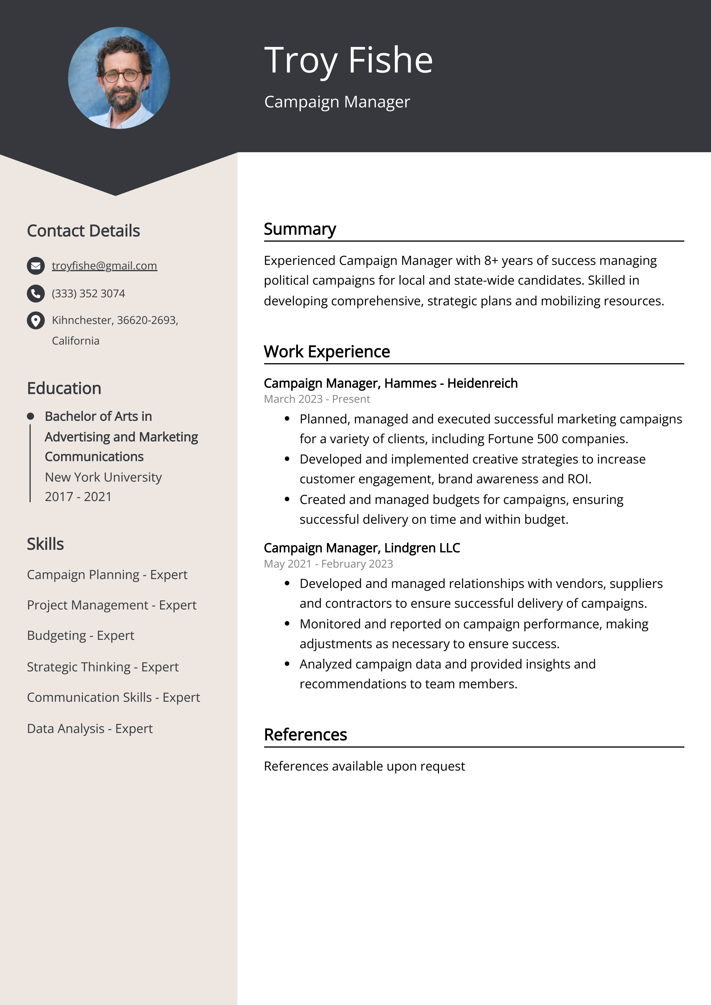 Campaign Manager Resume Example