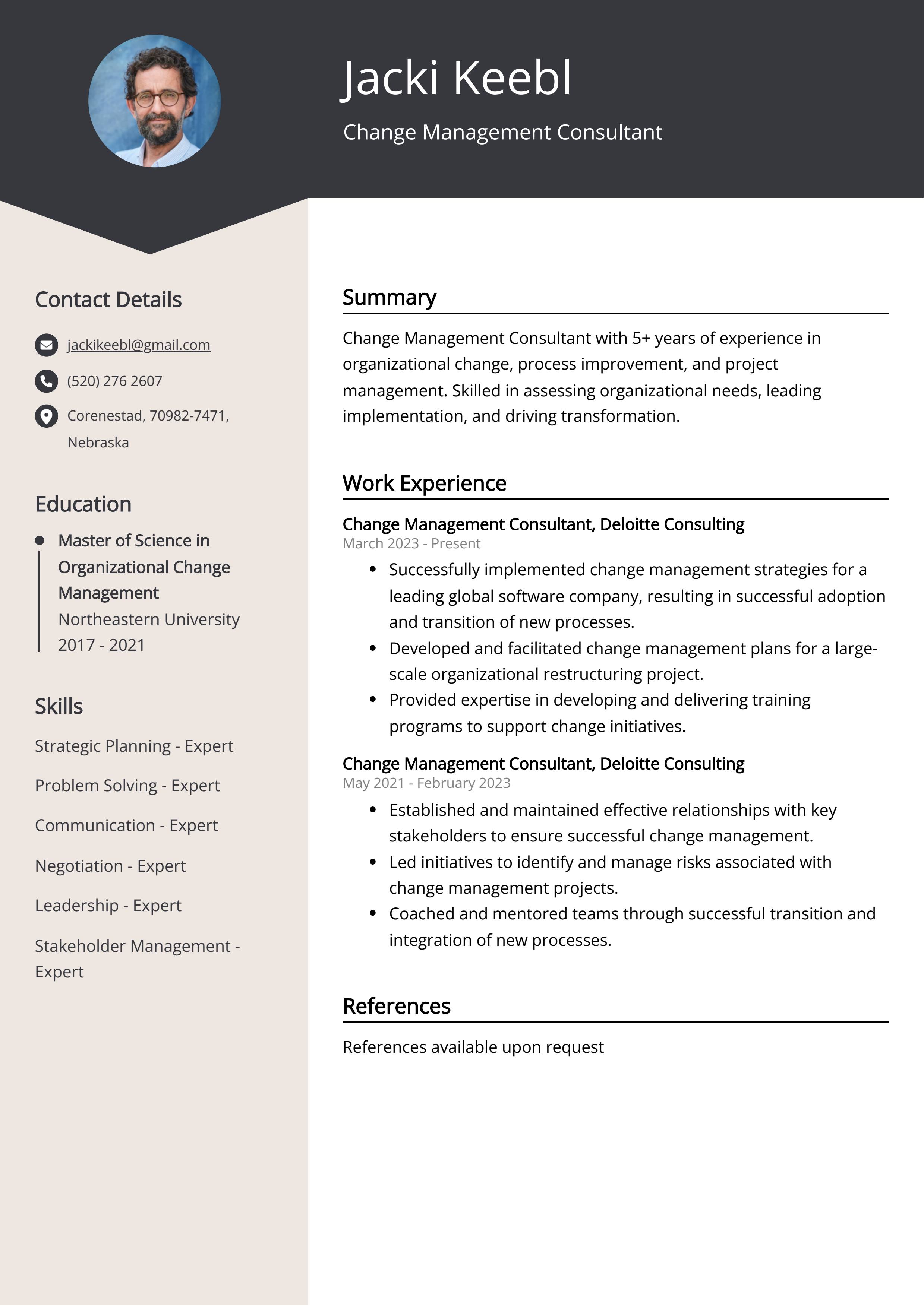 Change Management Consultant Resume Example