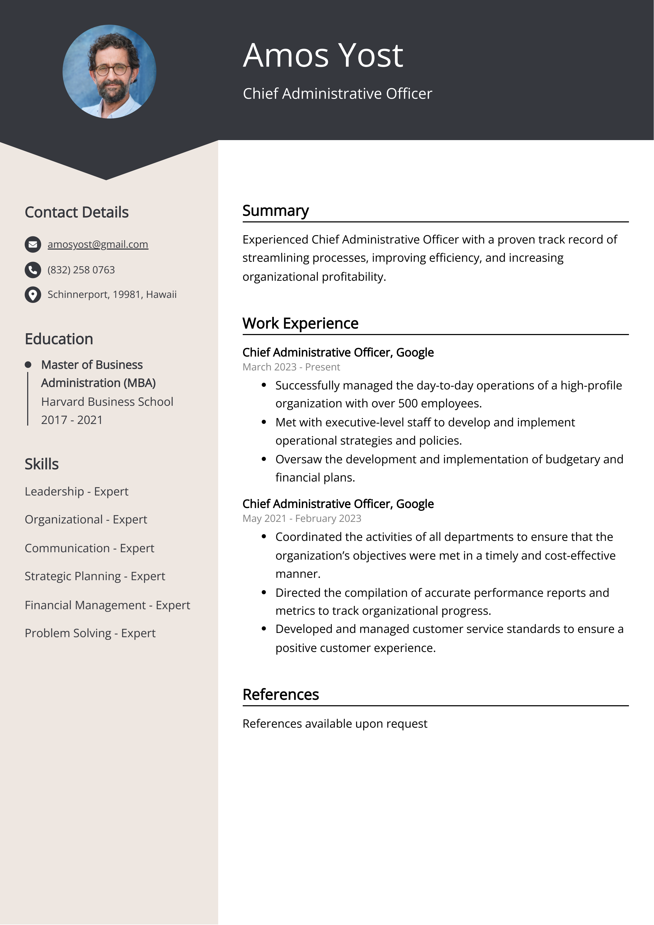 Chief Administrative Officer Resume Example