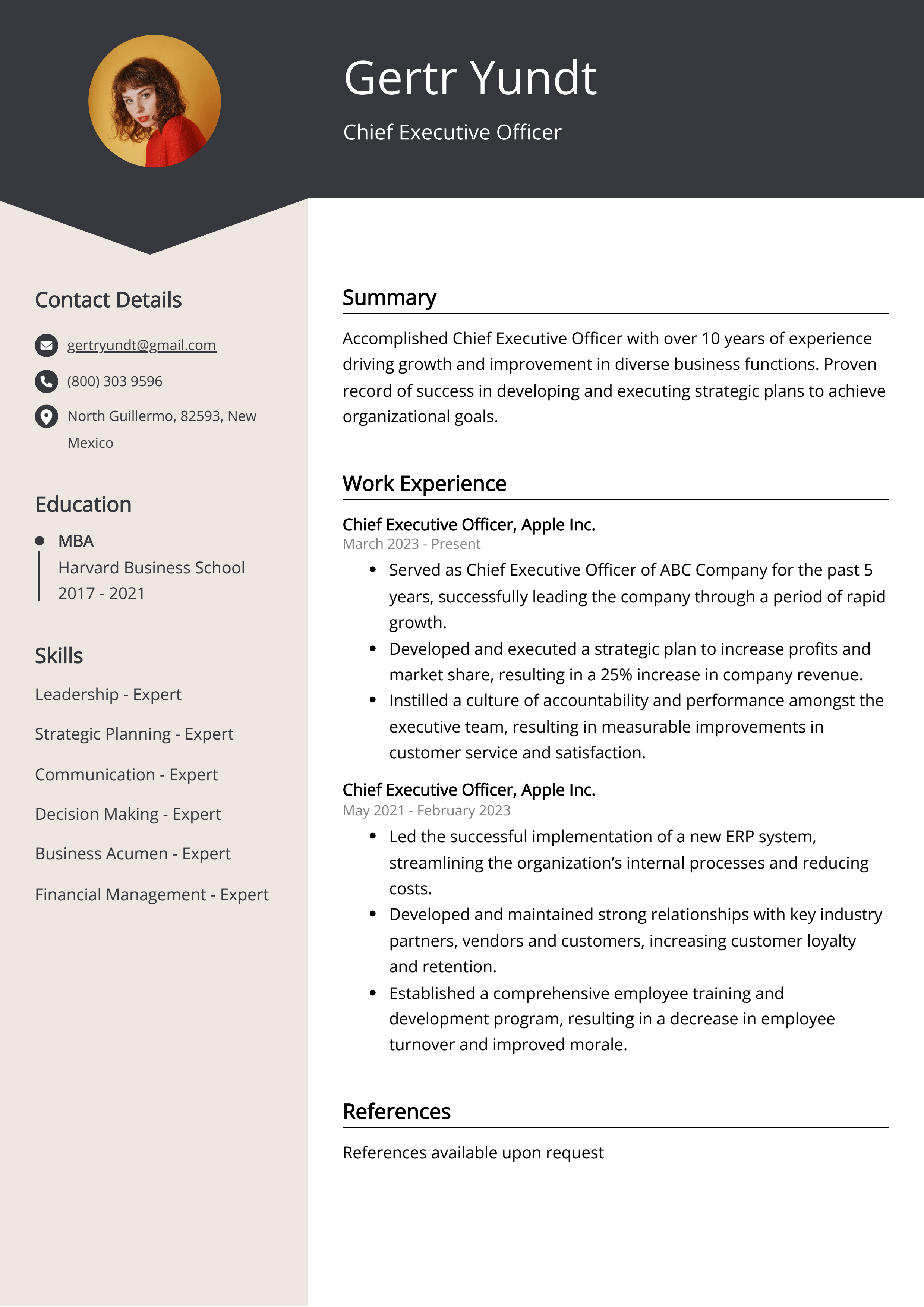 Chief Executive Officer Resume Example