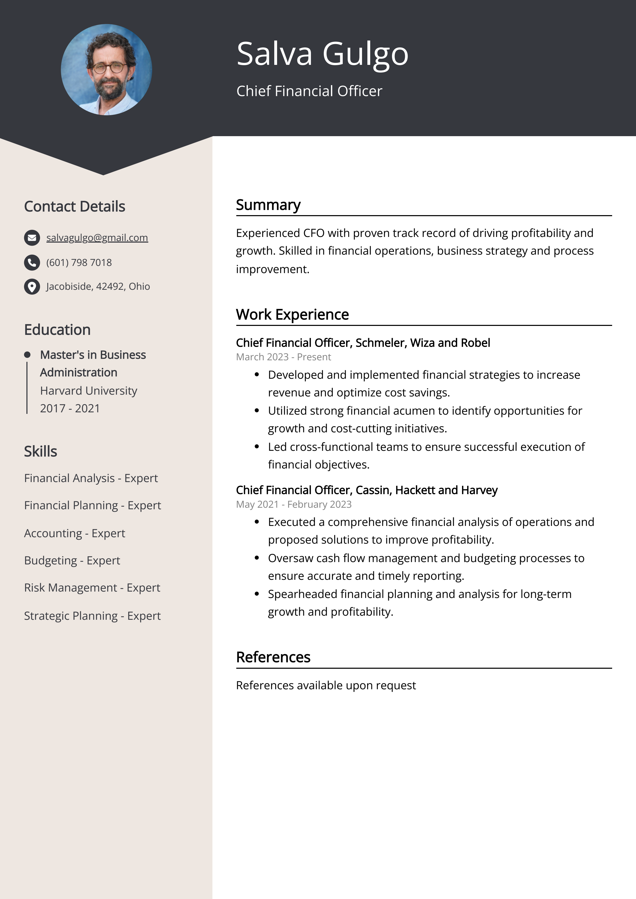 Chief Financial Officer Resume Example