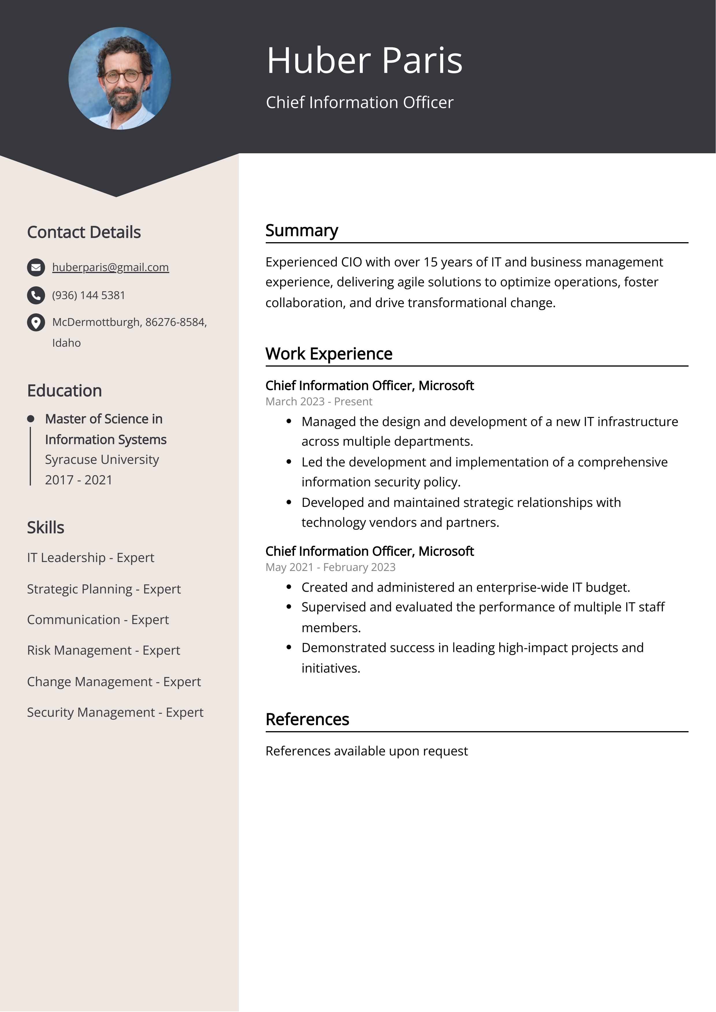Chief Information Officer Resume Example