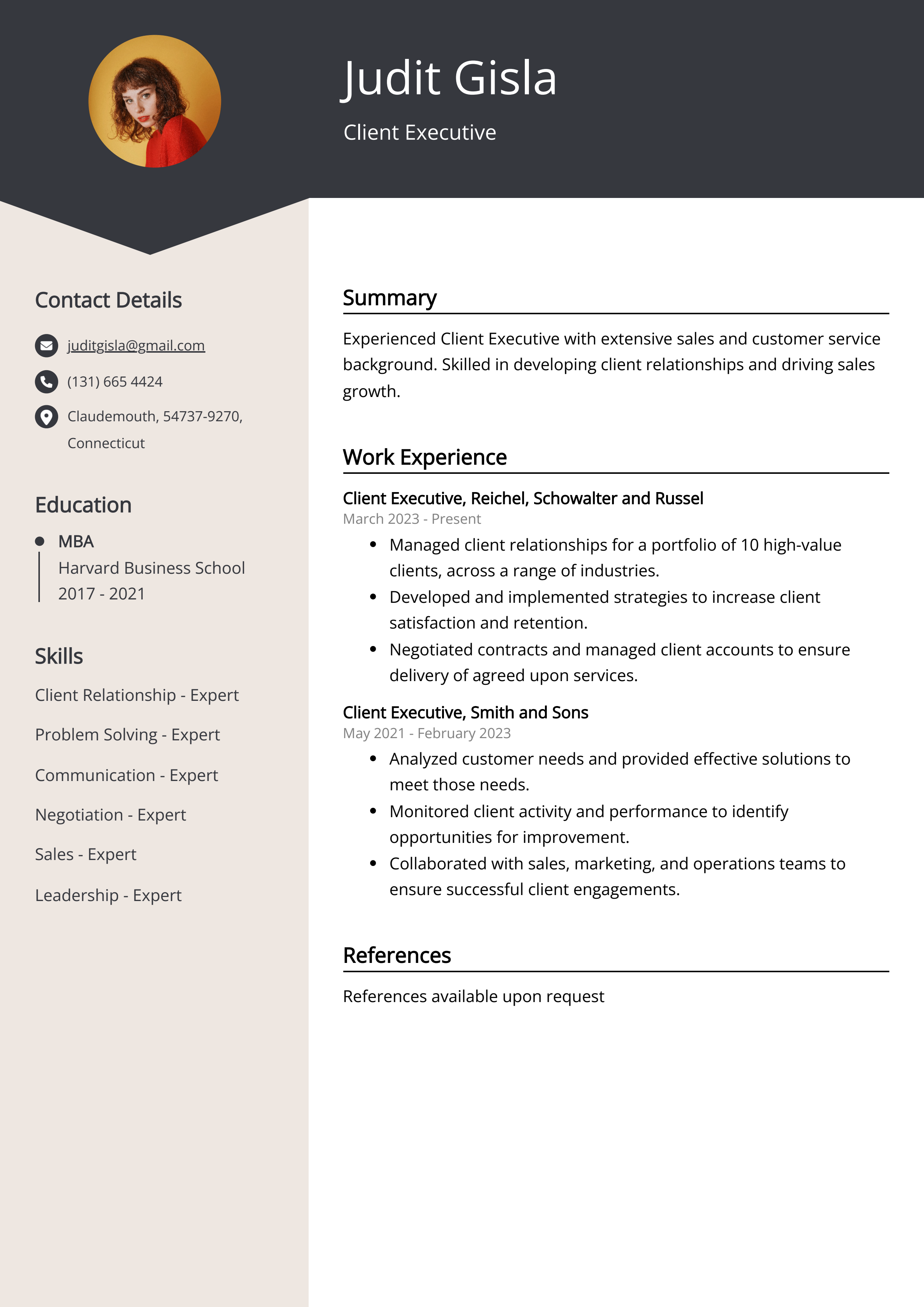 Client Executive Resume Example