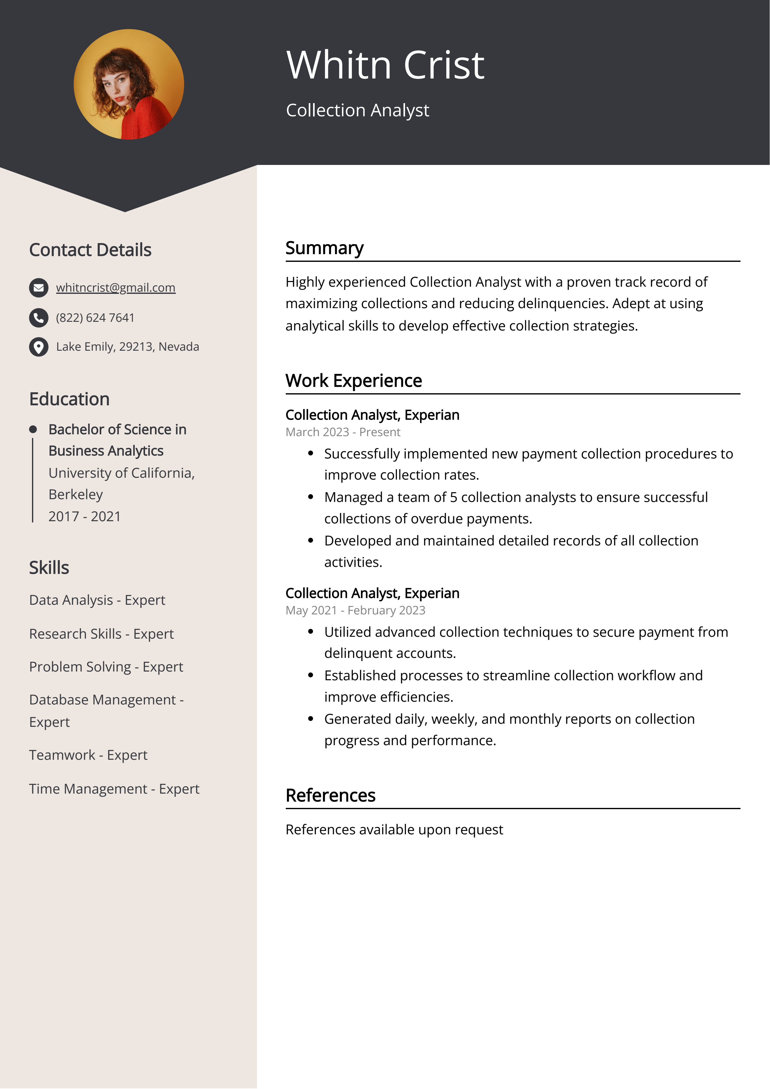 Collection Analyst Resume Example