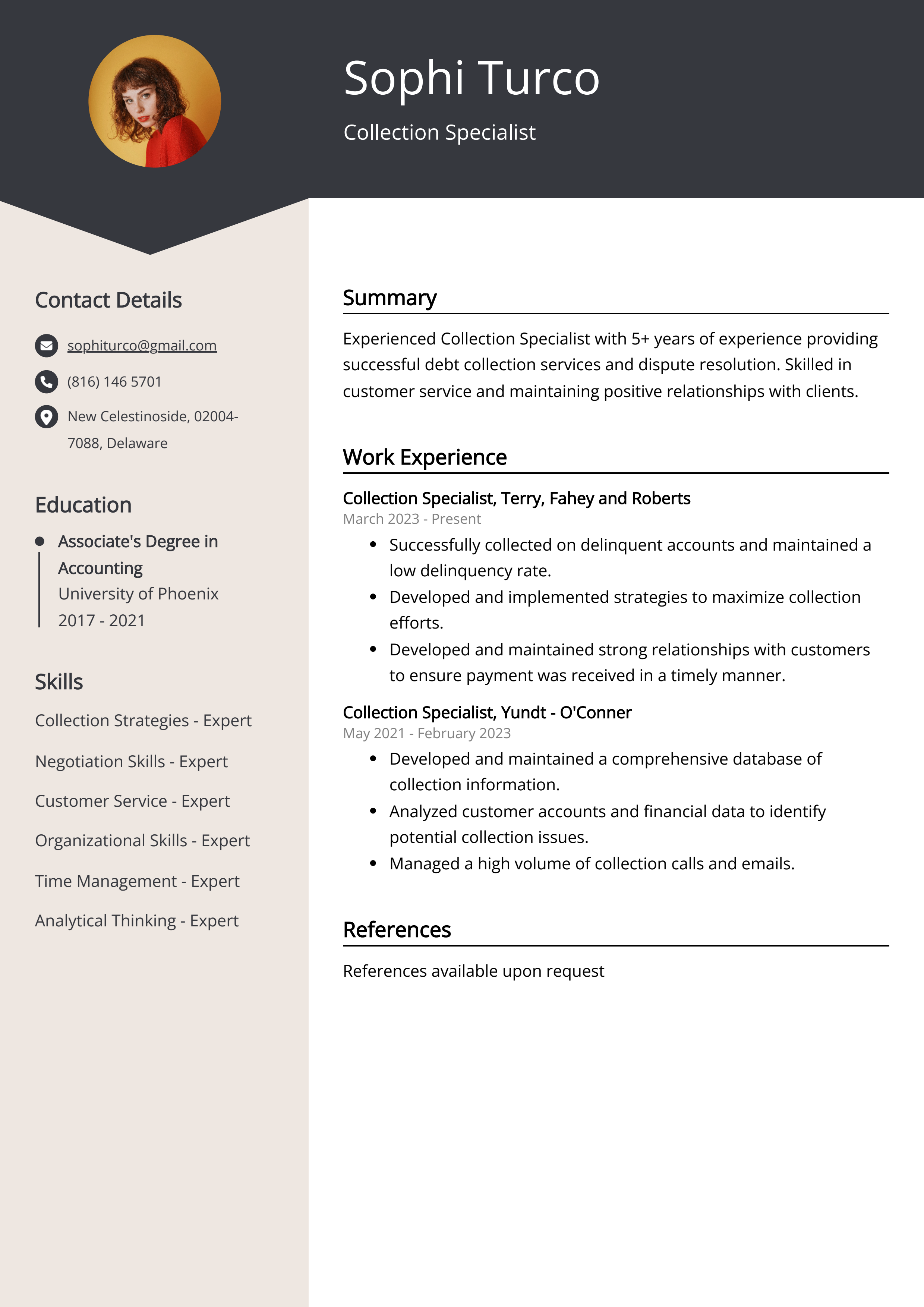 Collection Specialist Resume Example