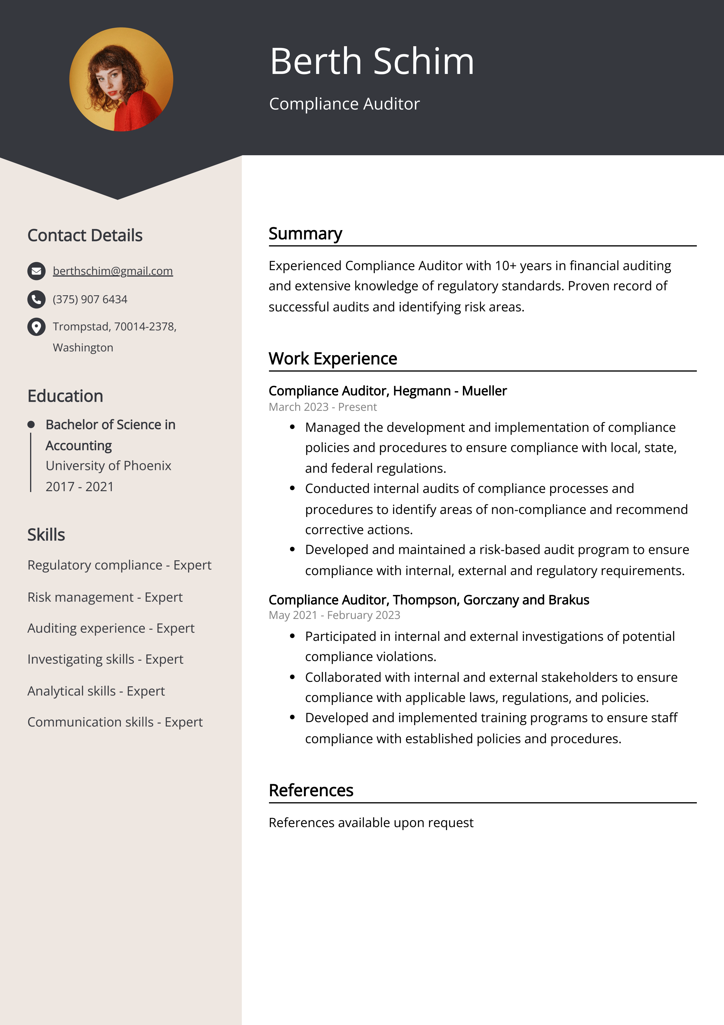 Compliance Auditor Resume Example