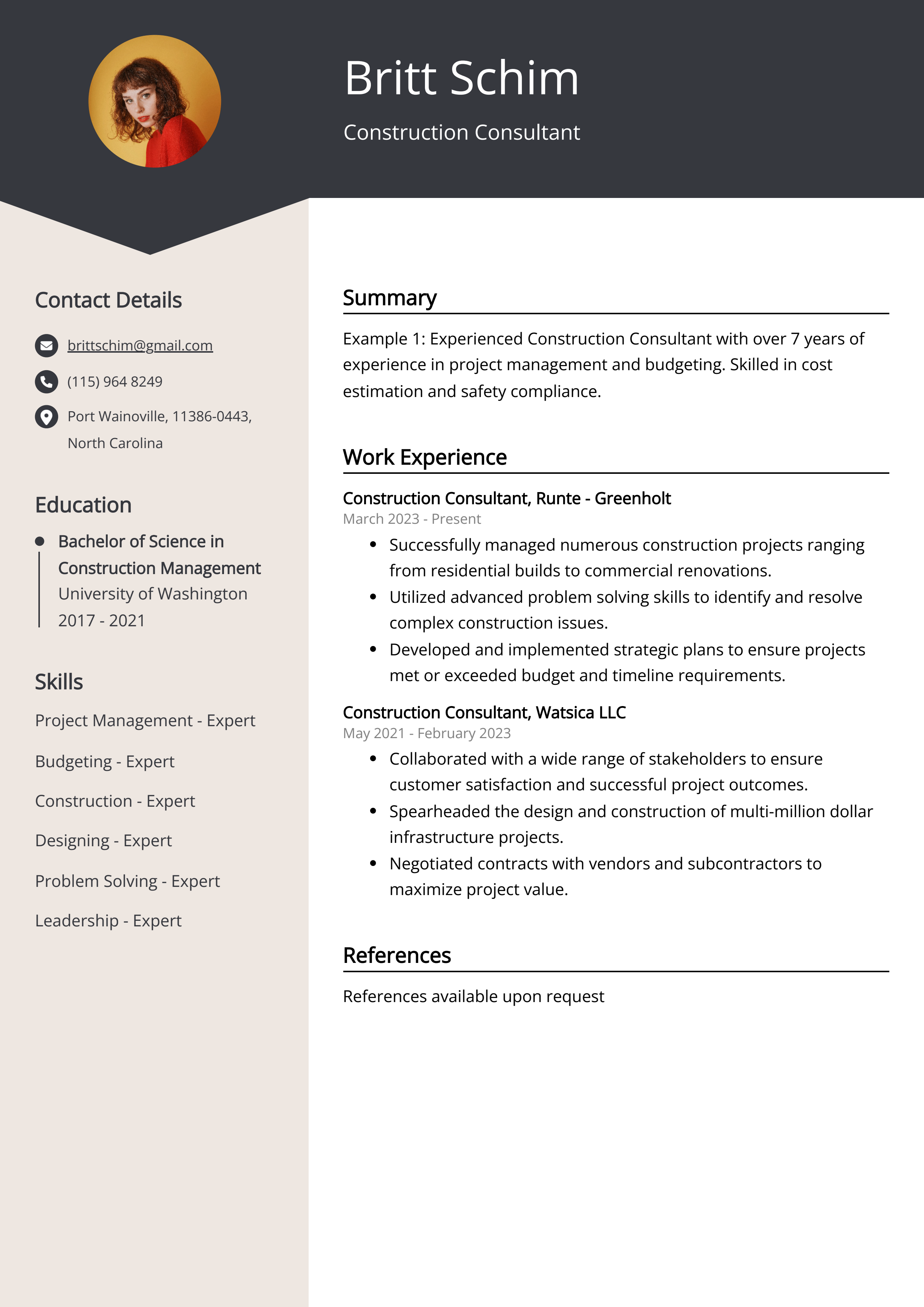 Construction Consultant Resume Example