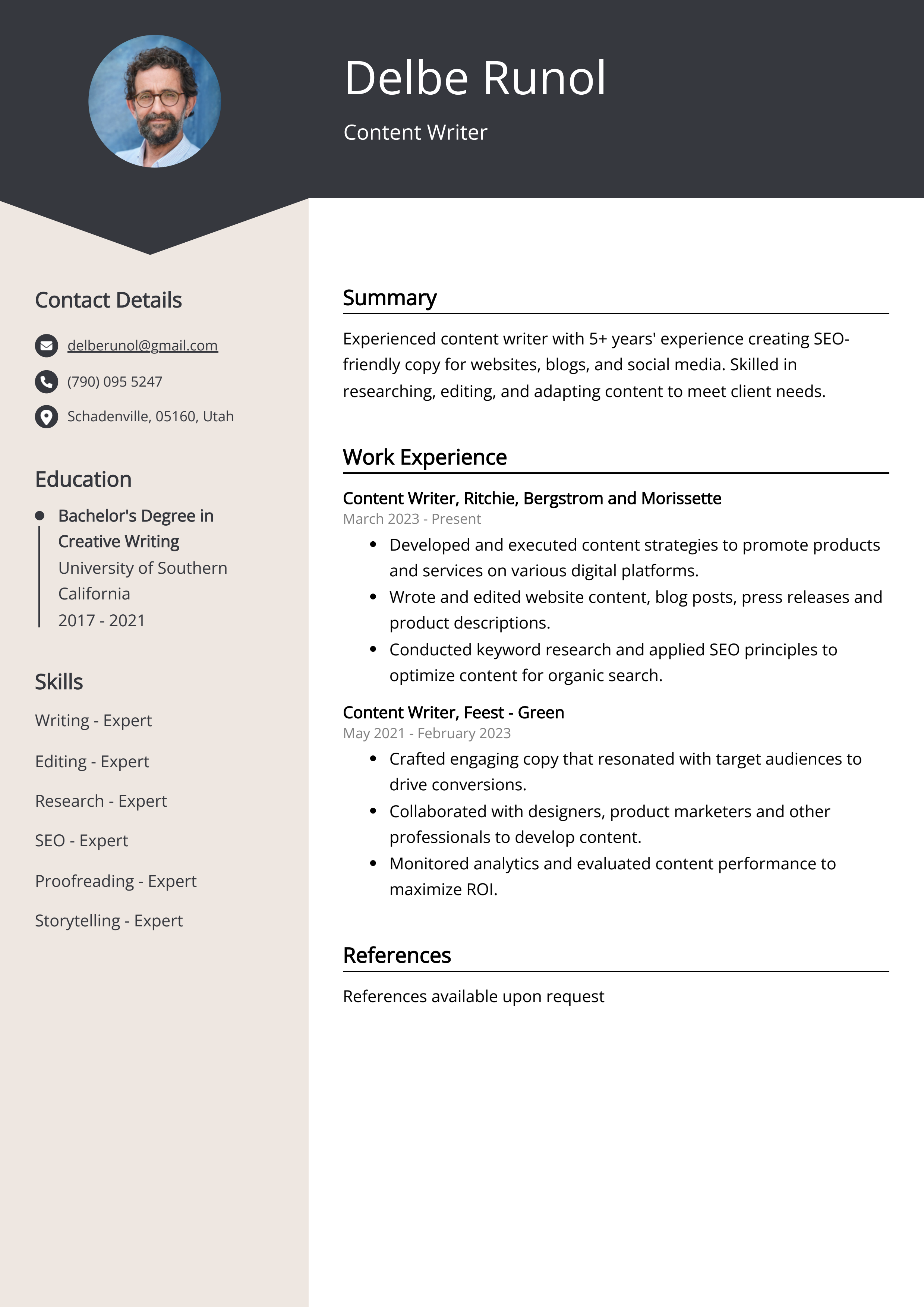 Experienced Content Writer Resume Example