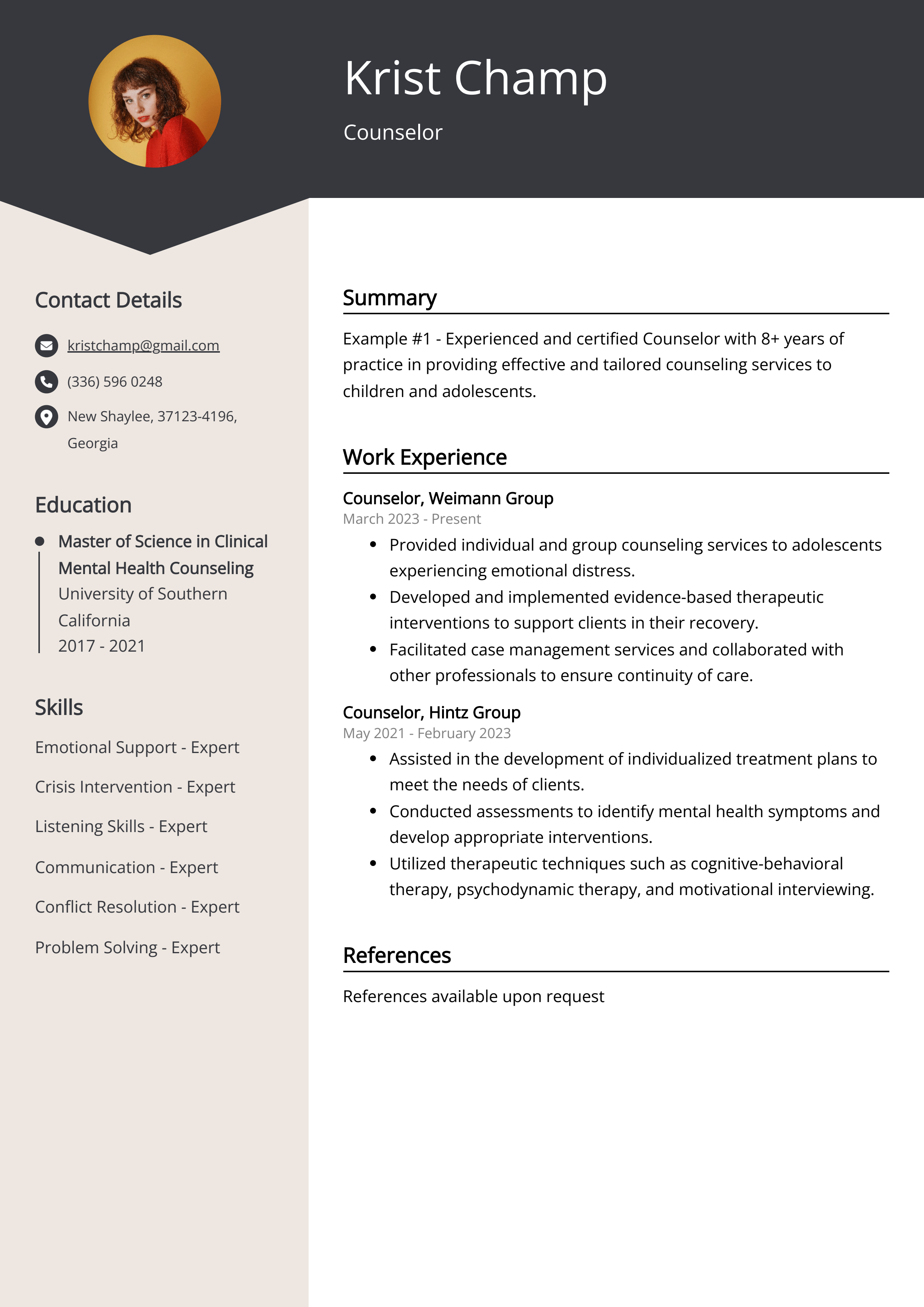 Counselor Resume Example
