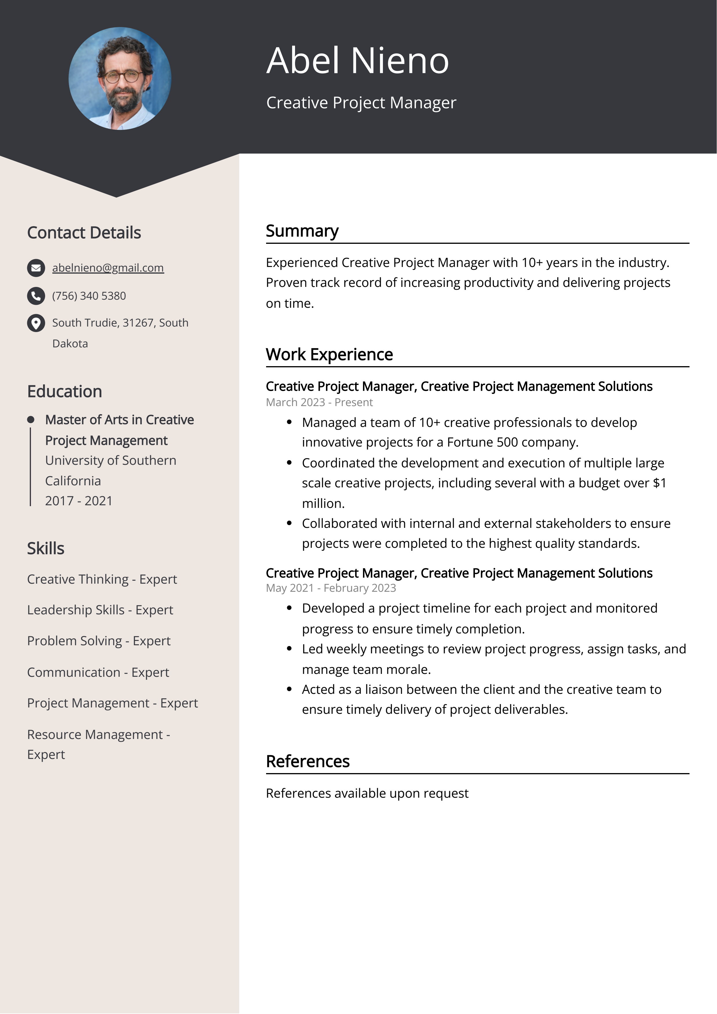 Creative Project Manager Resume Example