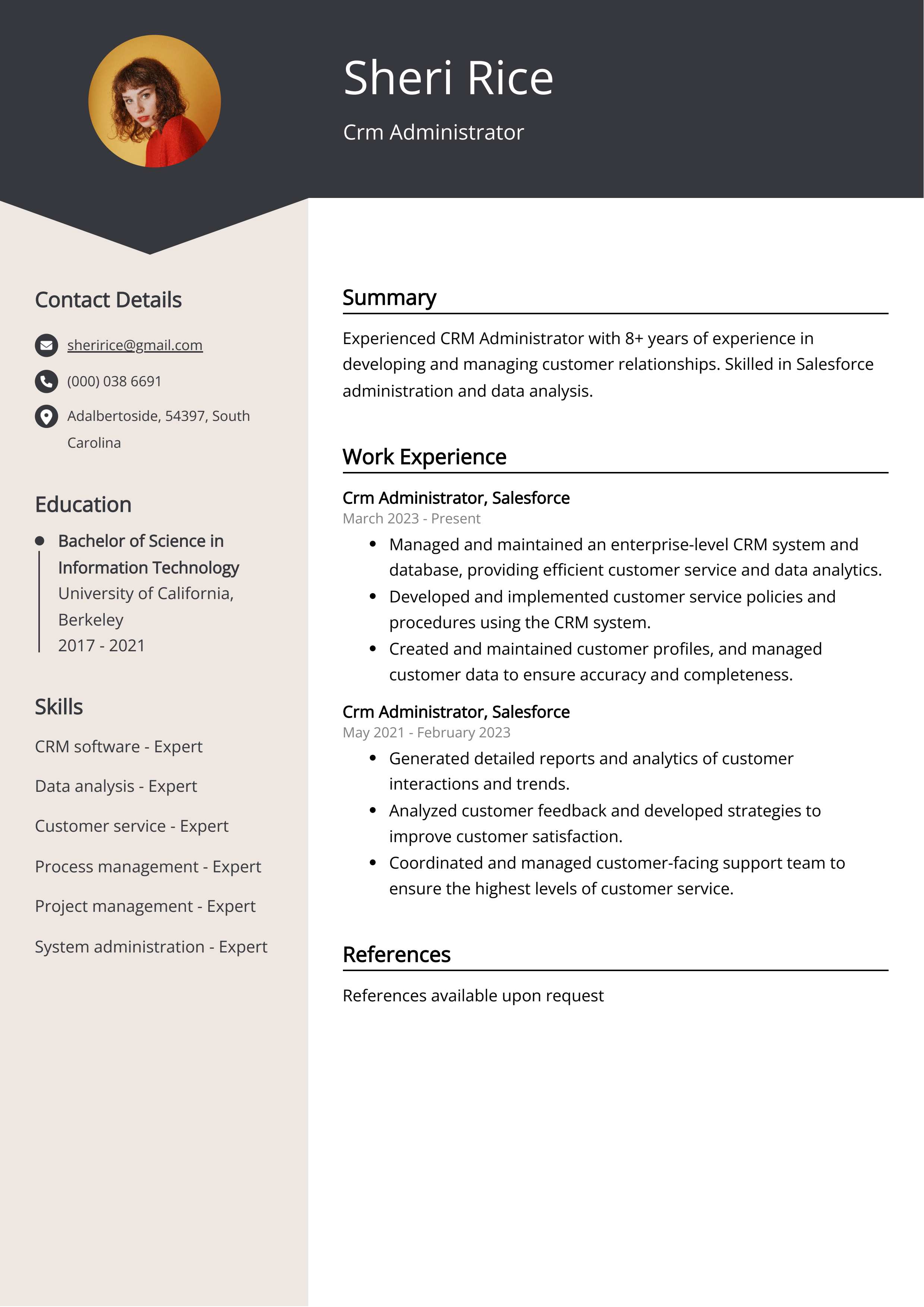 Crm Administrator Resume Example