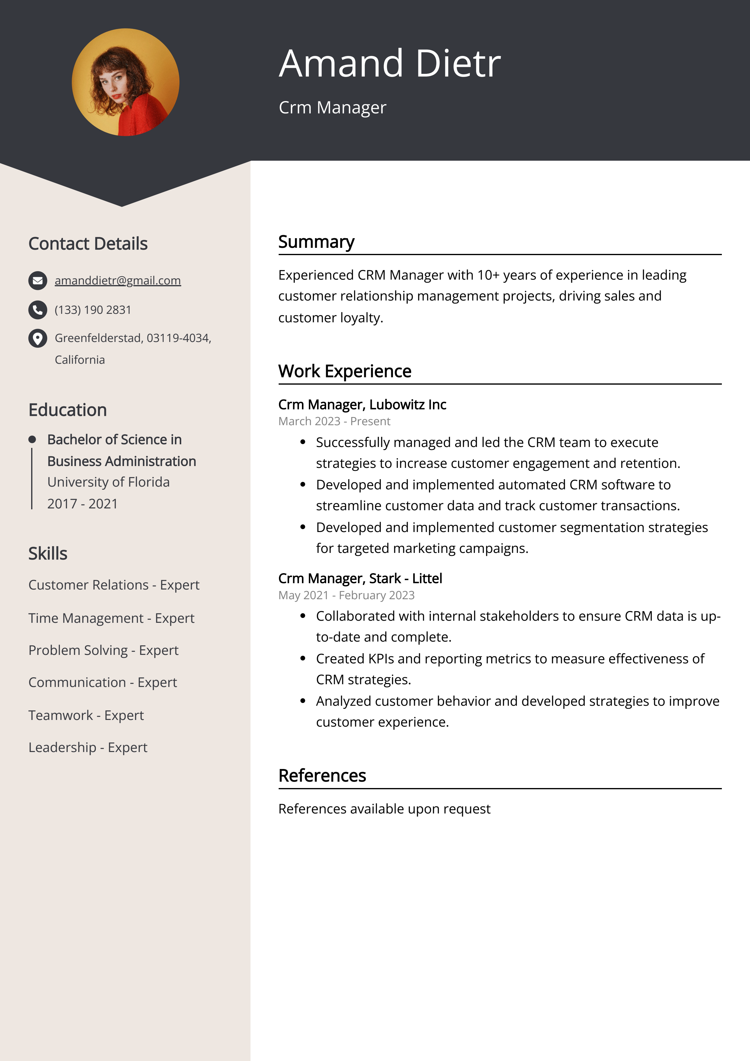 Crm Manager Resume Example