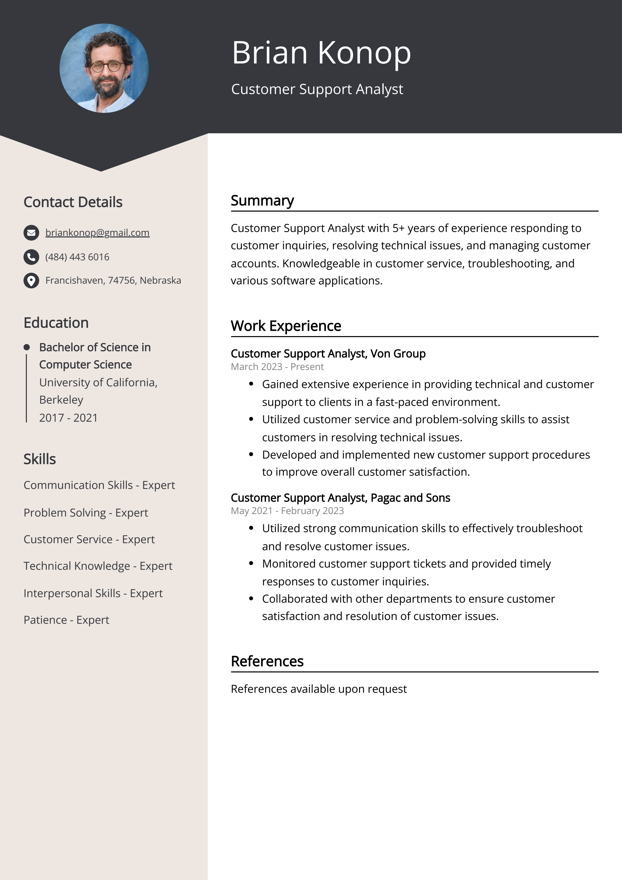 Customer Support Analyst Resume Example