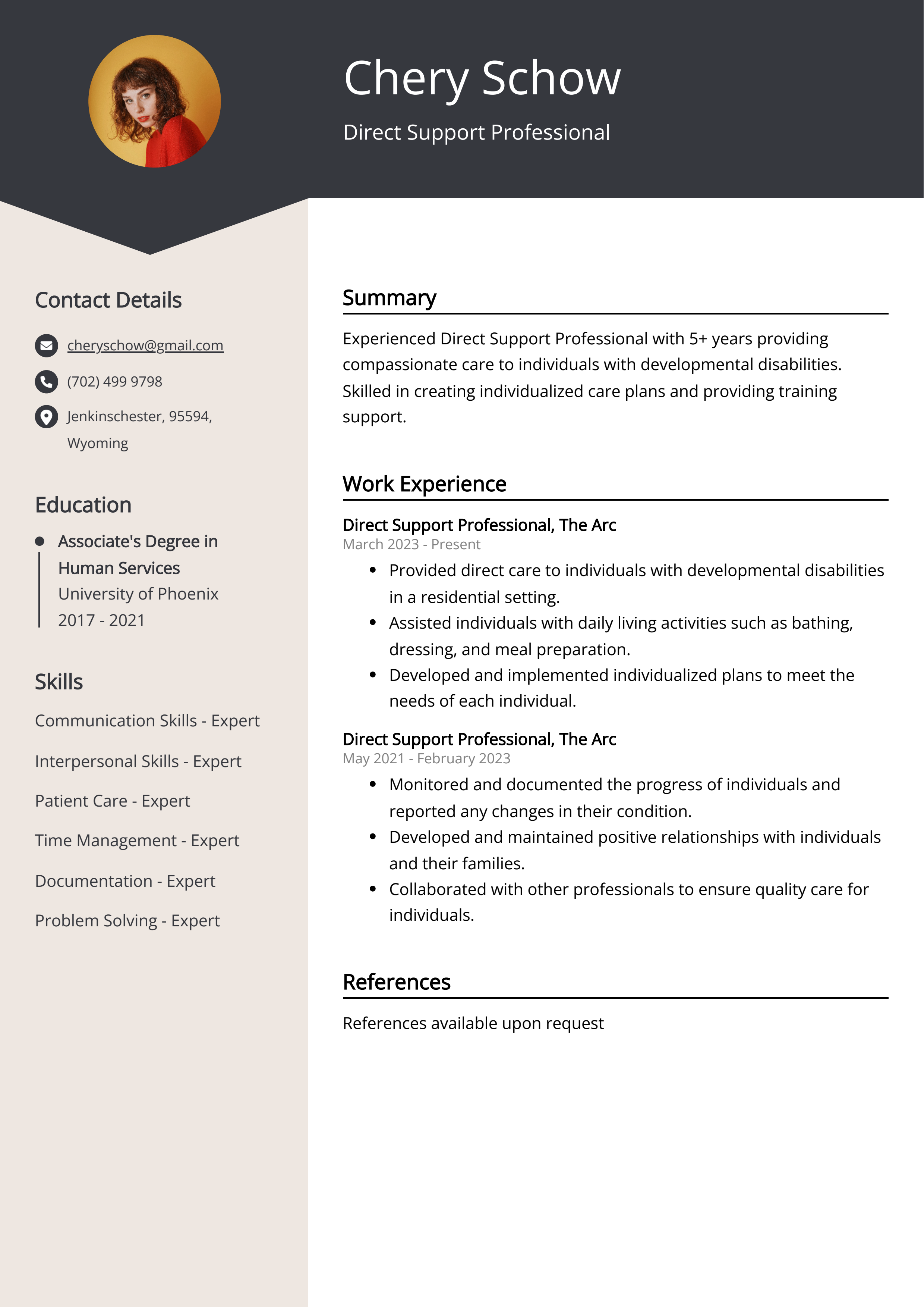 Direct Support Professional Resume Example