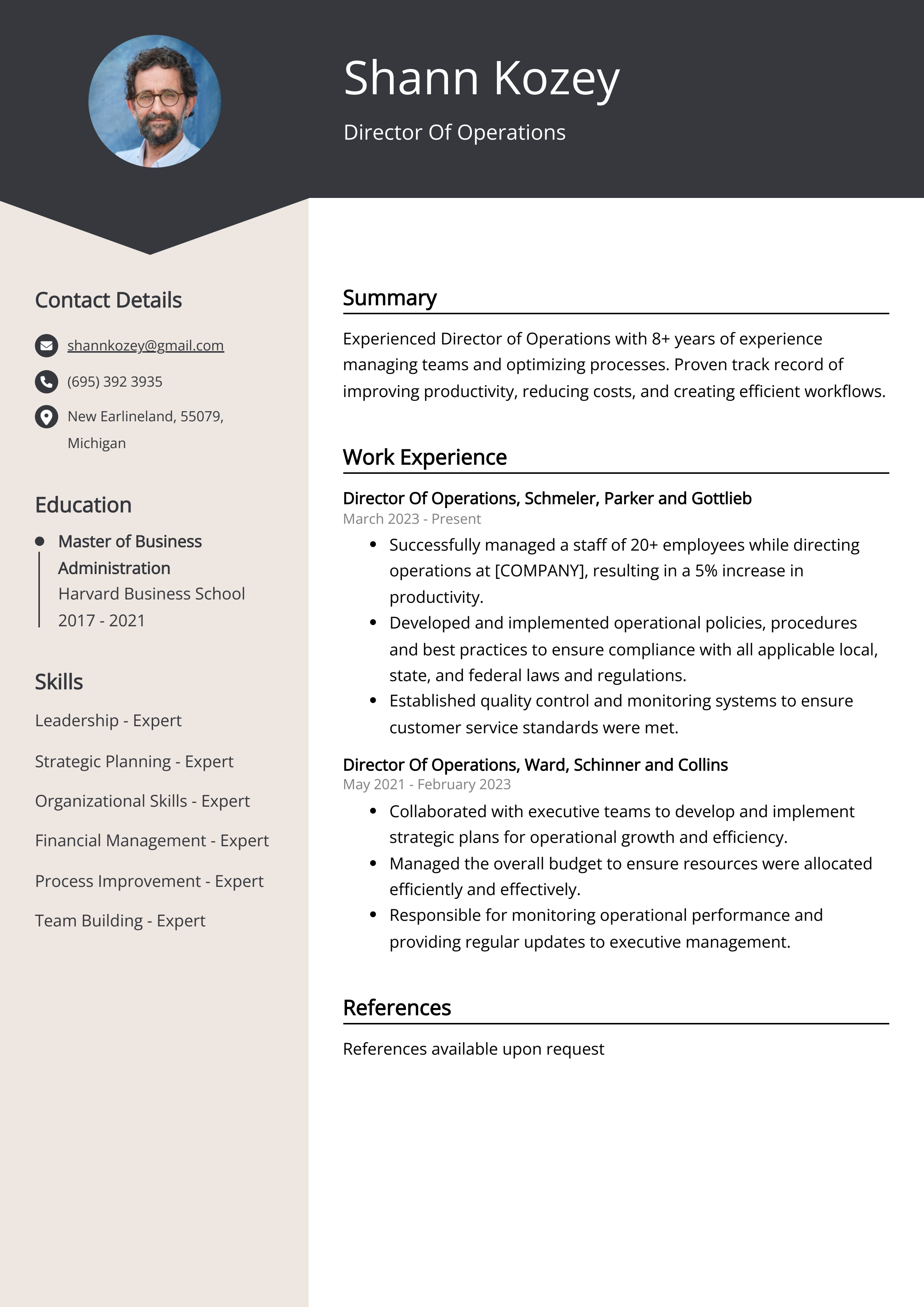 Director Of Operations Resume Example