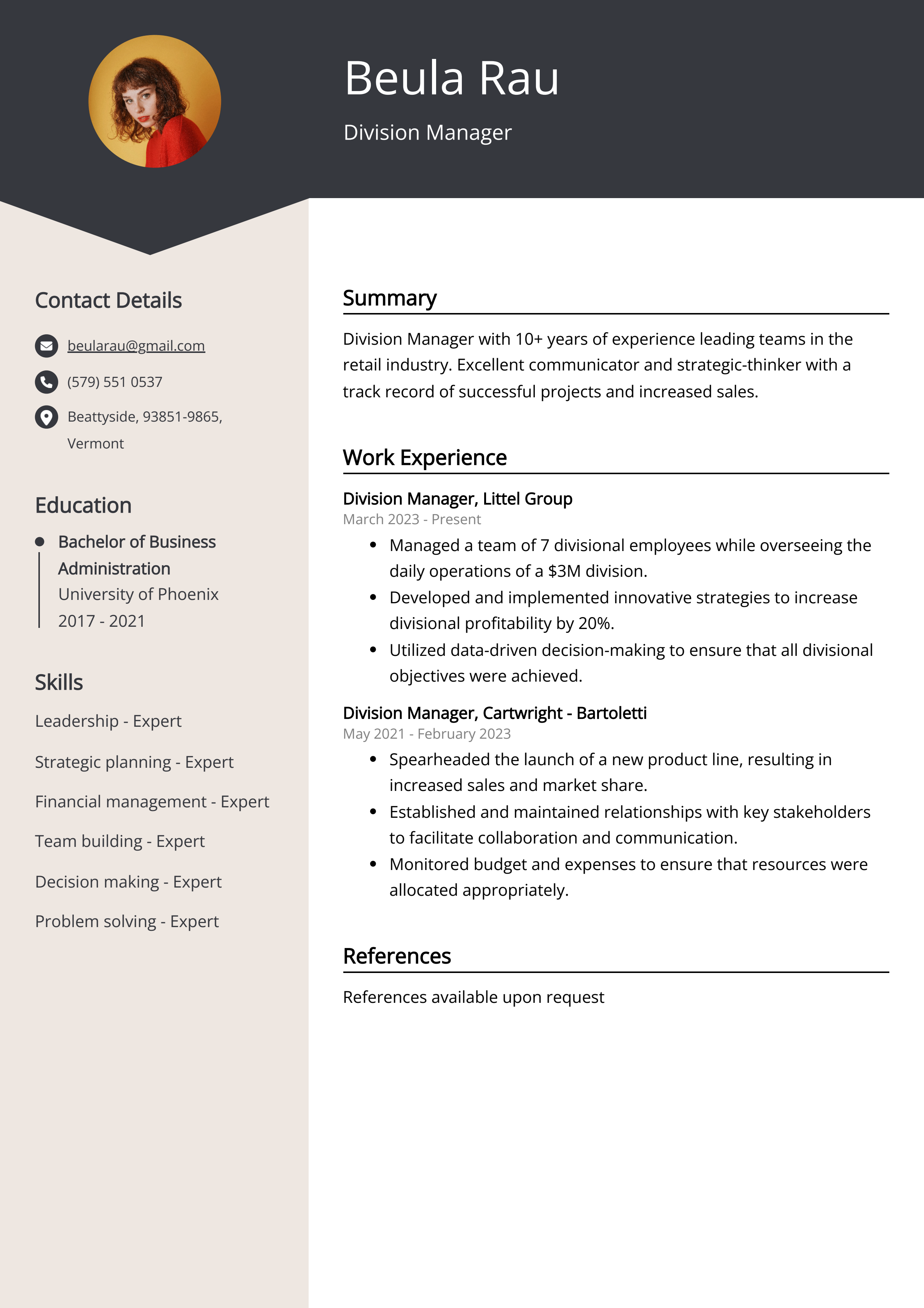Division Manager Resume Example