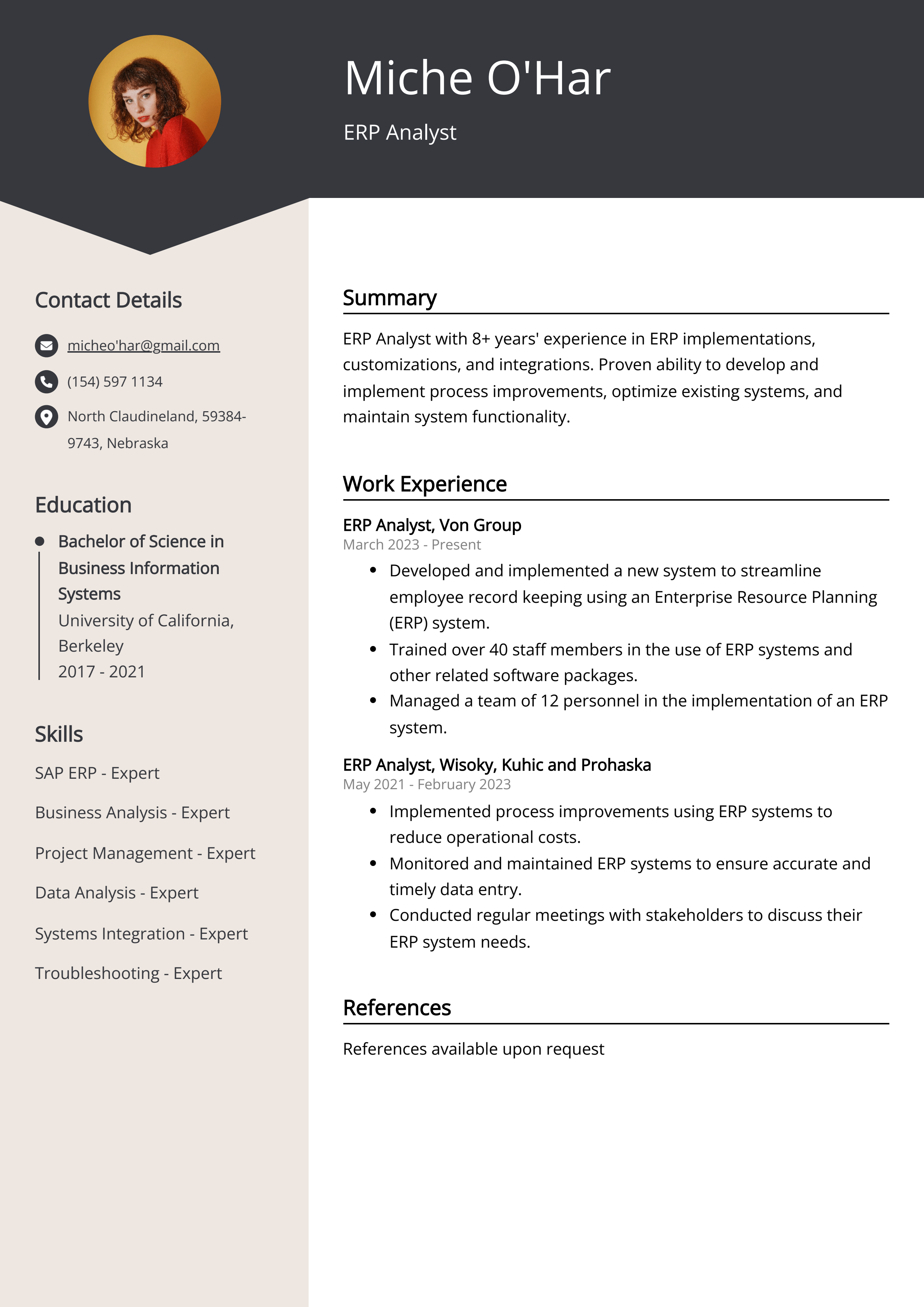 ERP Analyst Resume Example