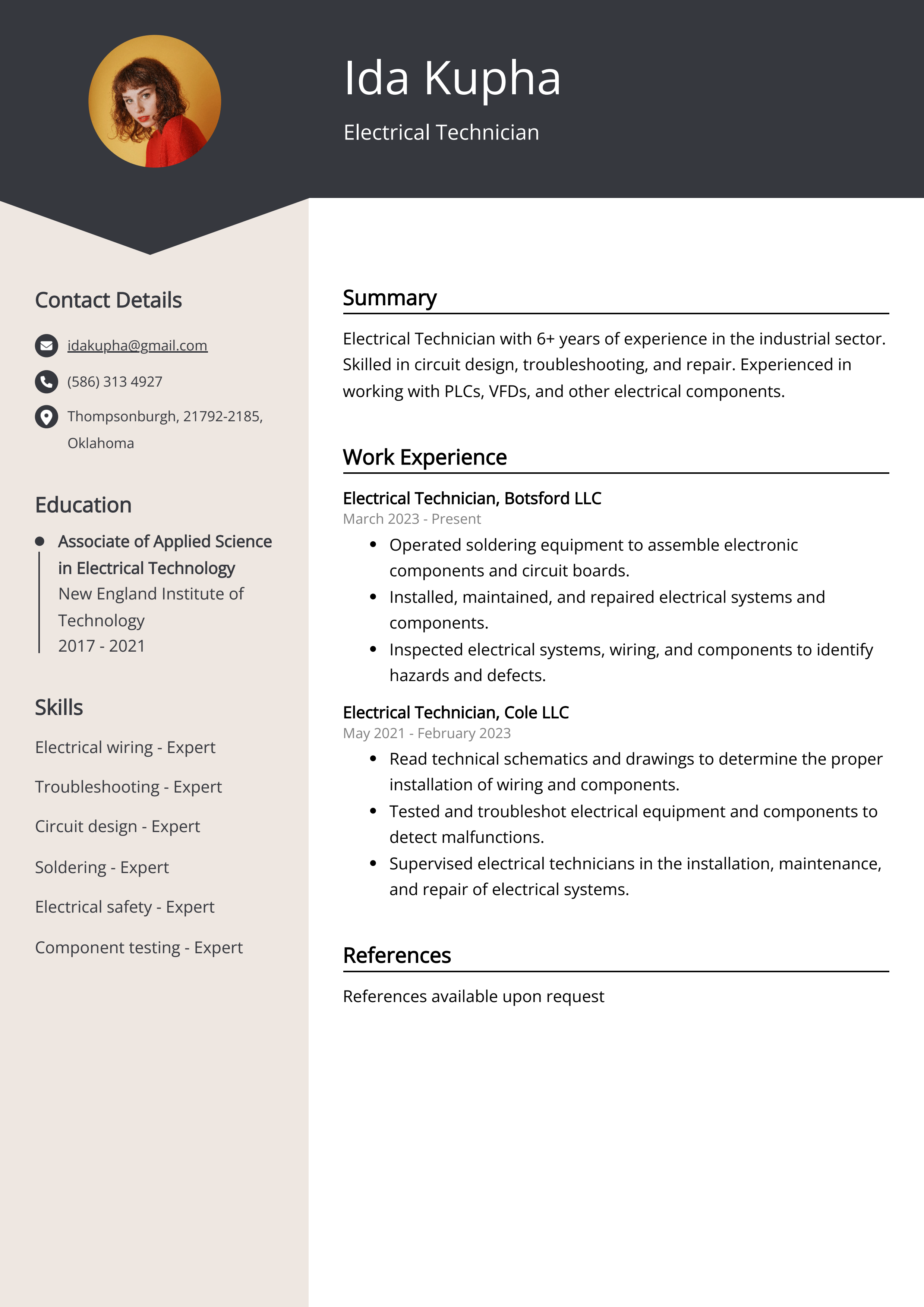 Electrical Technician Resume Example