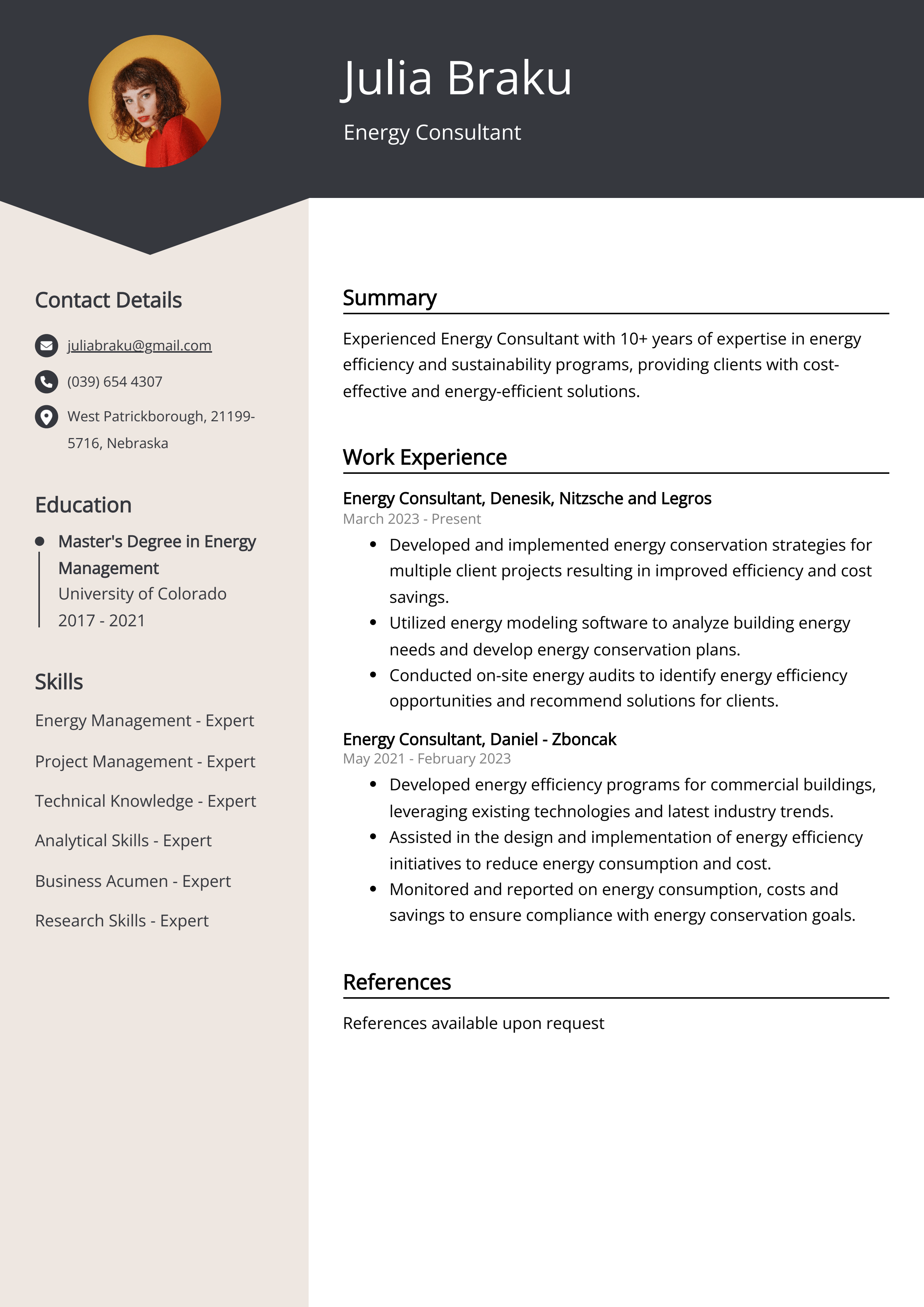 Energy Consultant Resume Example