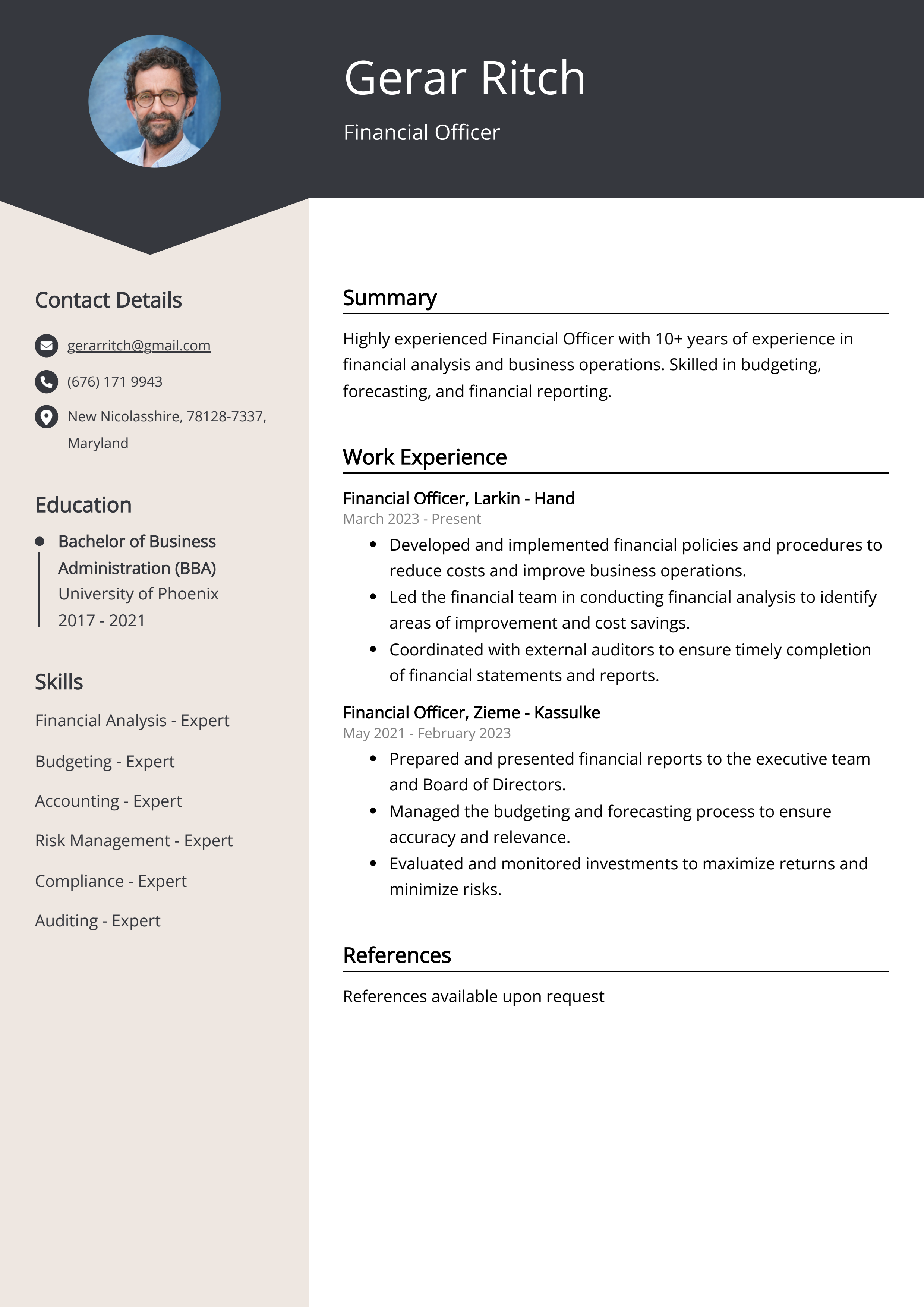 Financial Officer Resume Example