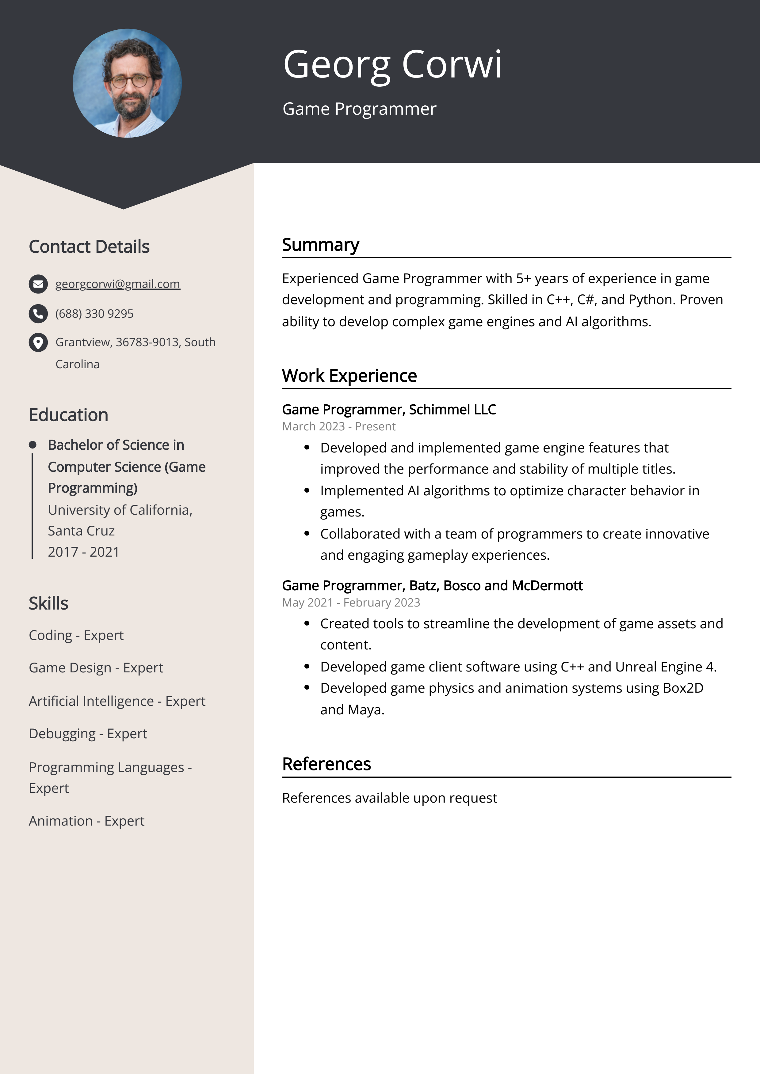 Game Programmer Resume Example