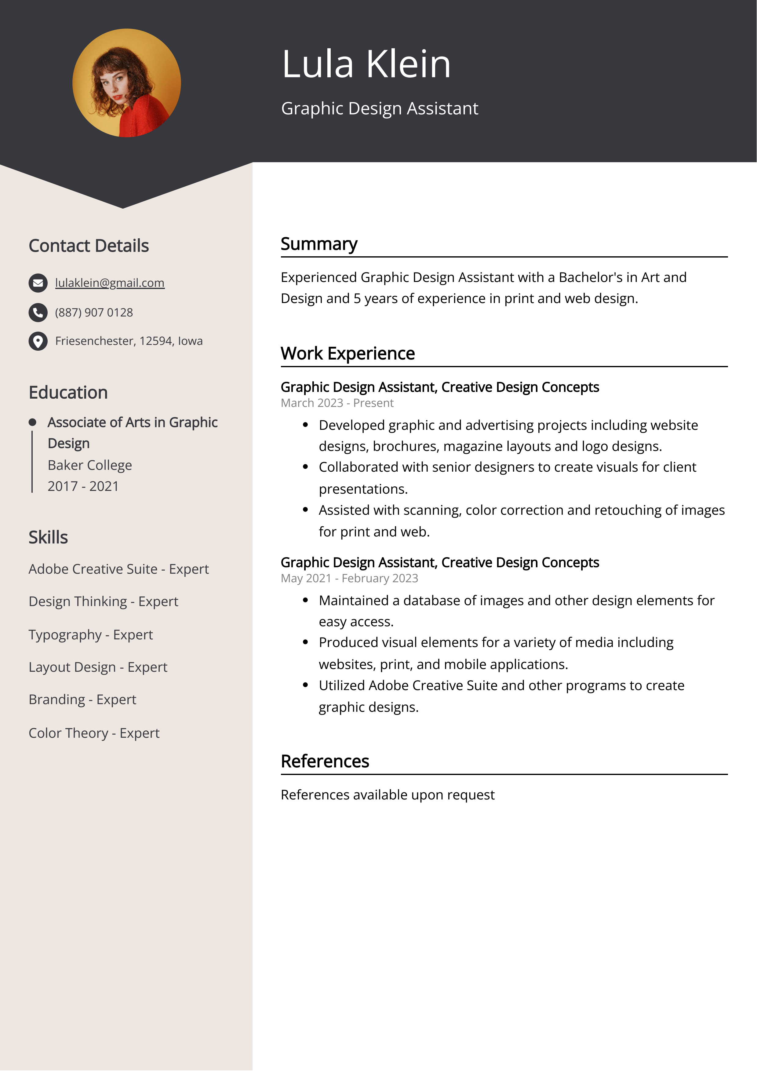 Graphic Design Assistant Resume Example