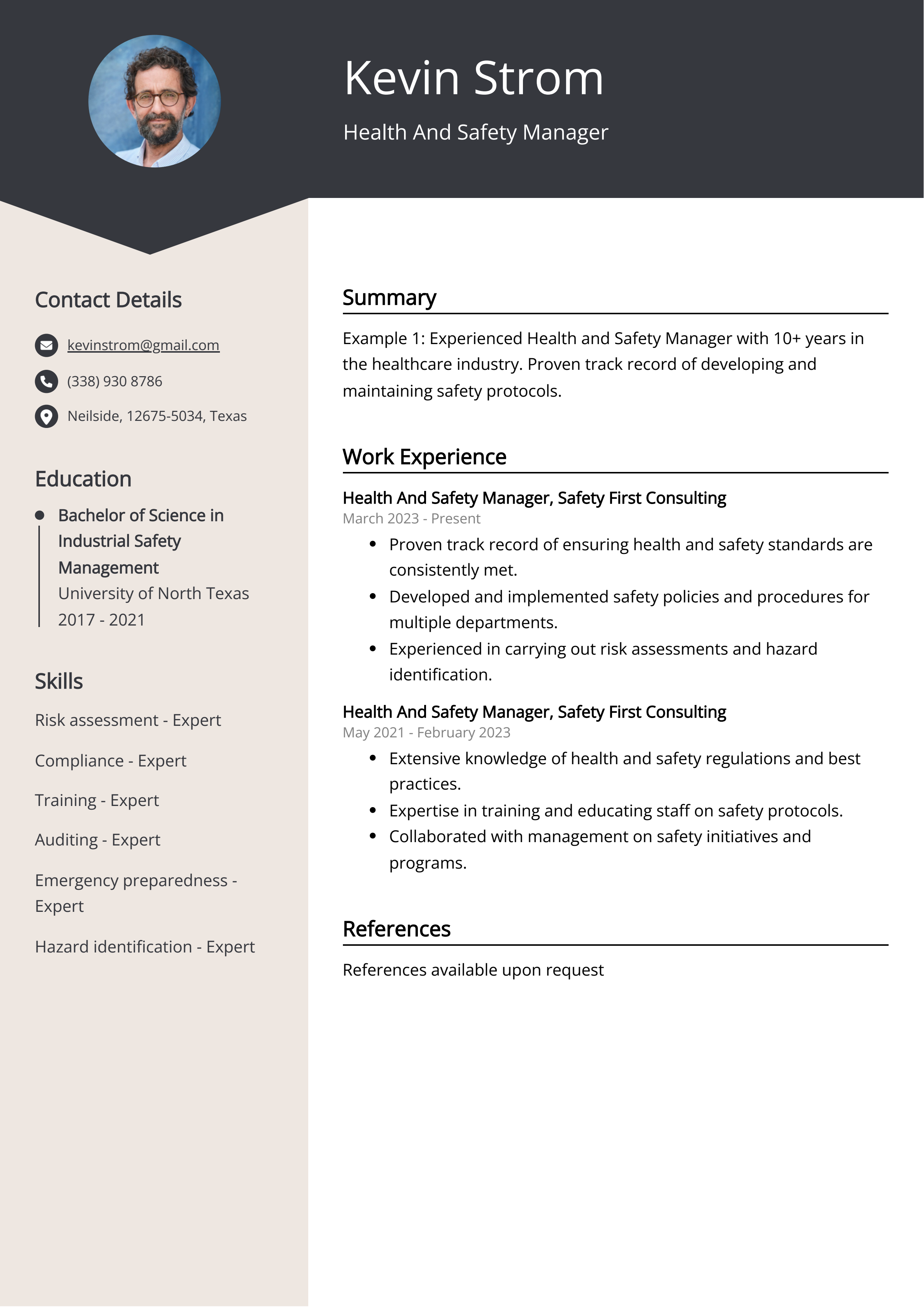 Health And Safety Manager Resume Example