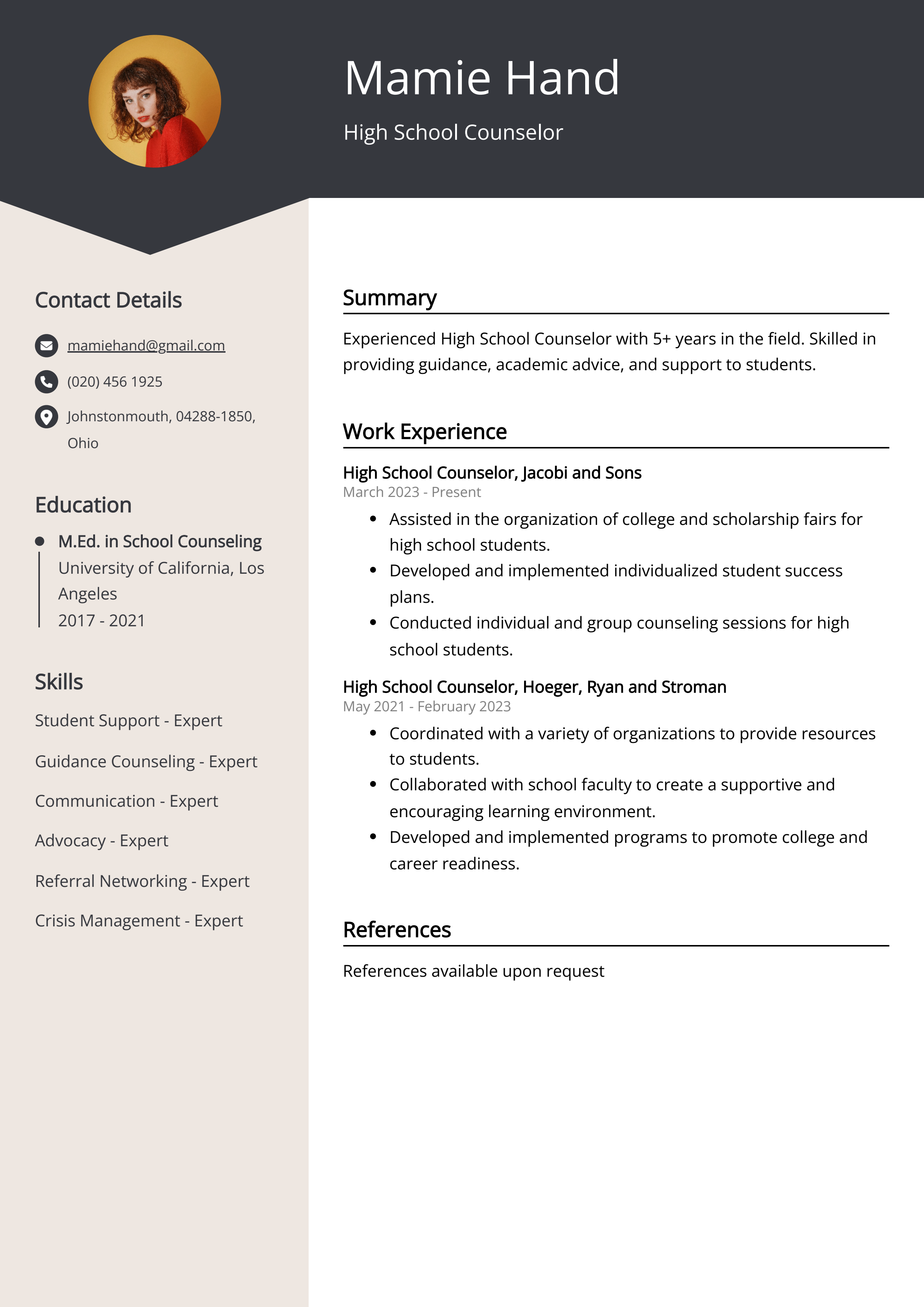 High School Counselor Resume Example