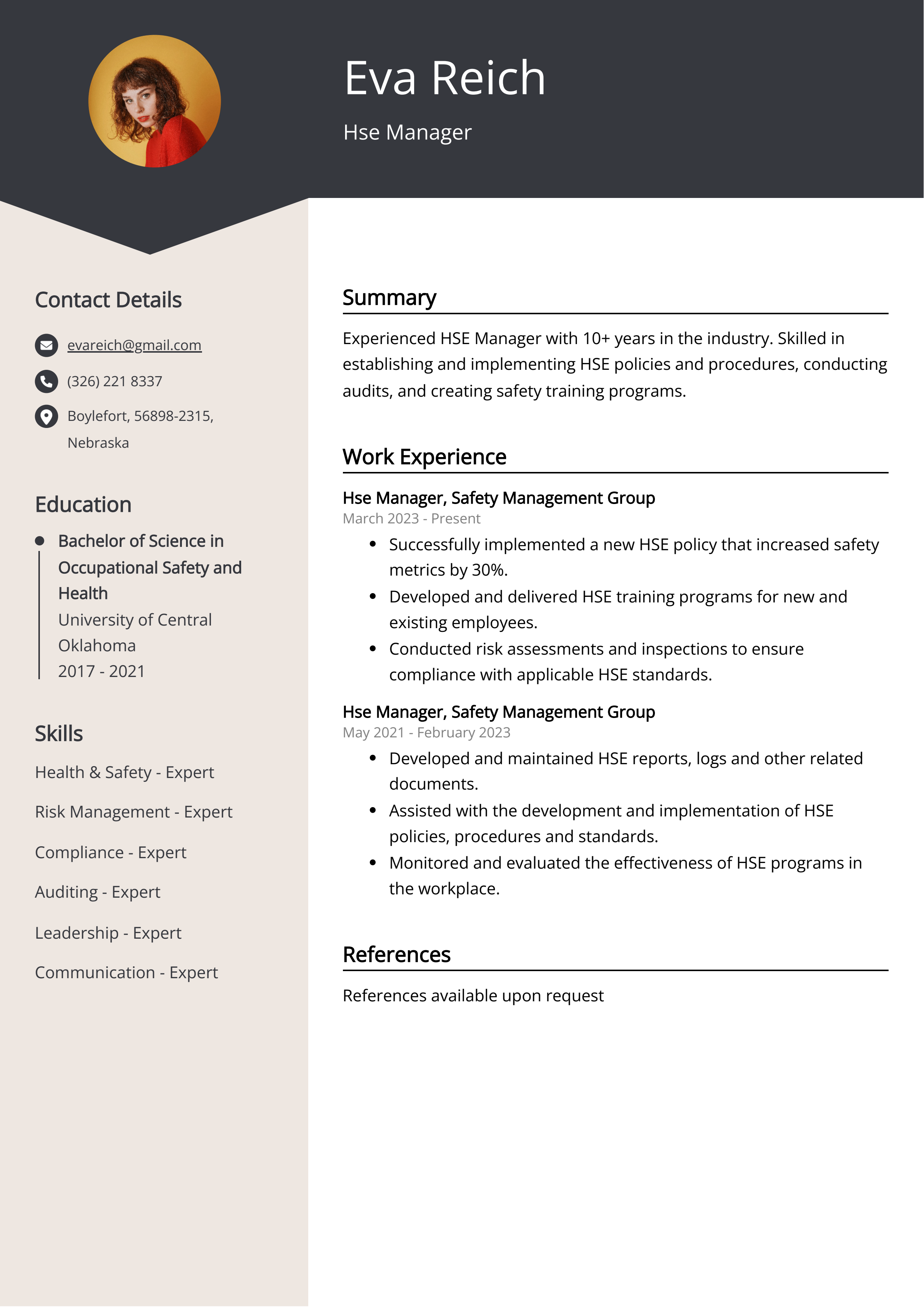 Hse Manager Resume Example