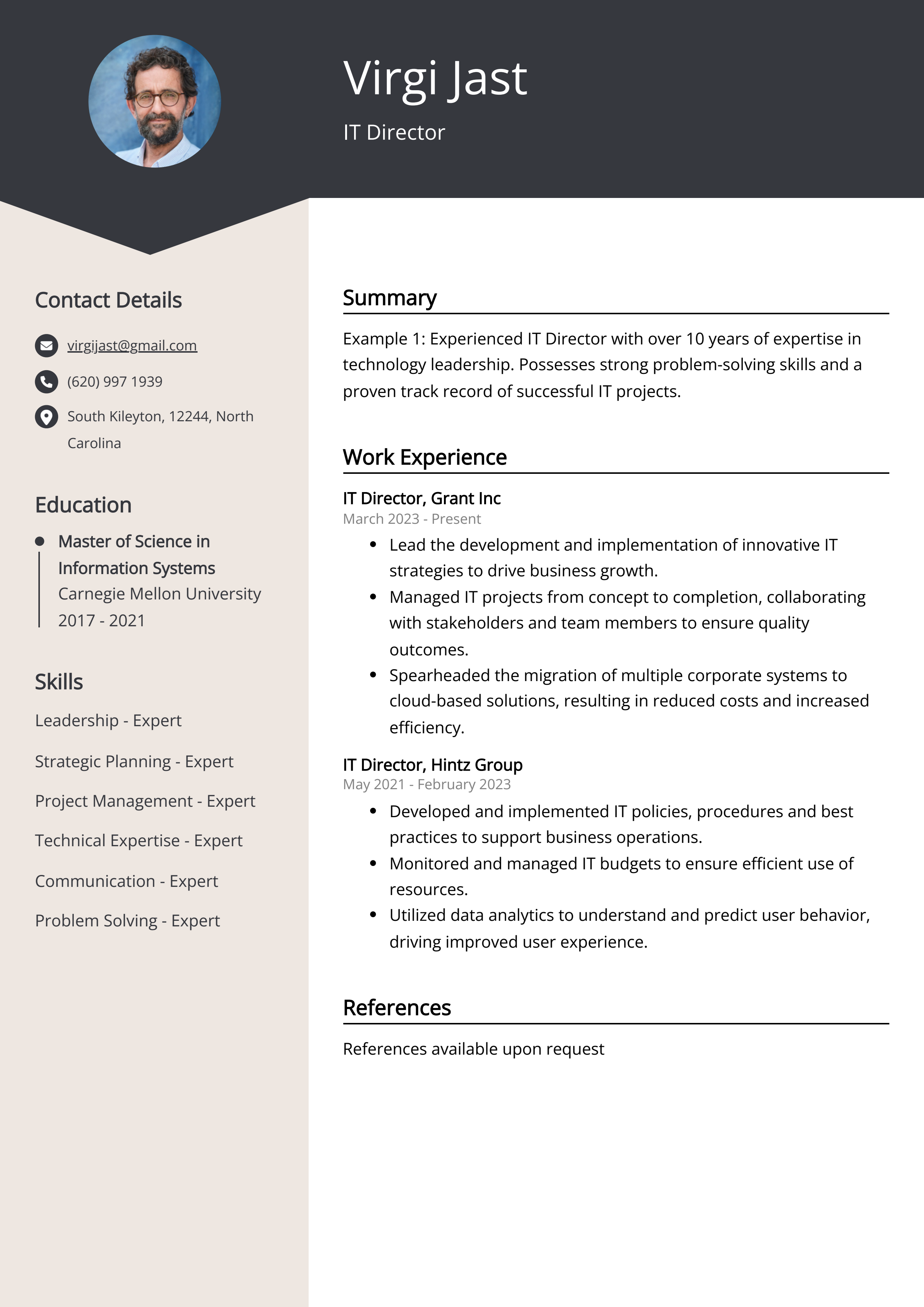 IT Director Resume Example